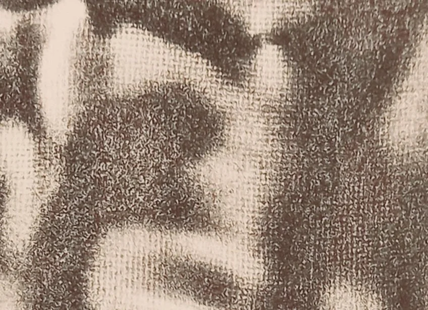 20251129_102909.jpg