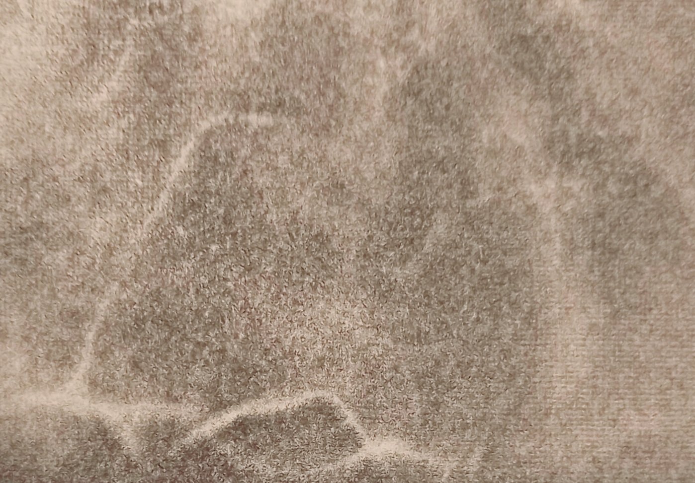 20251129_103207.jpg