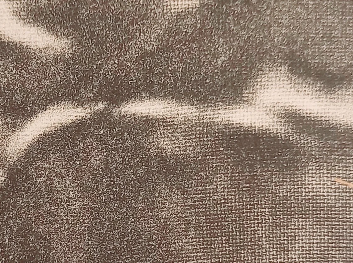 20251129_102715.jpg