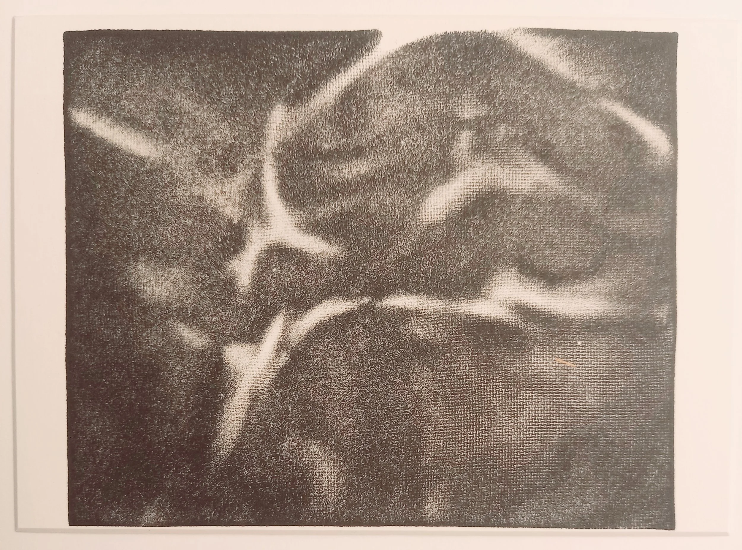 20251129_080538.jpg