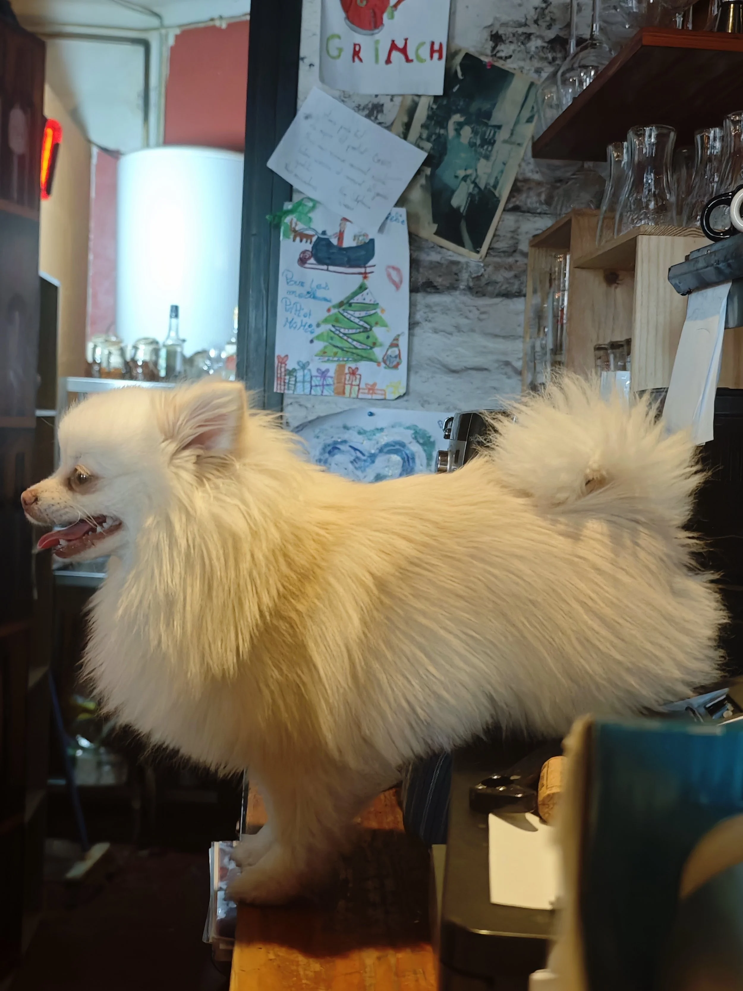 KIKI de l'atelier Gourmand A Calais ! 