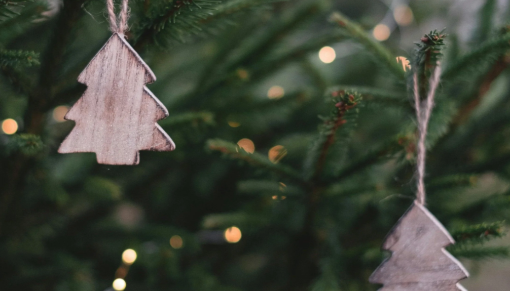 Season 2- Episode 2: Holiday Blues – When the Season Feels Heavier Than It Looks