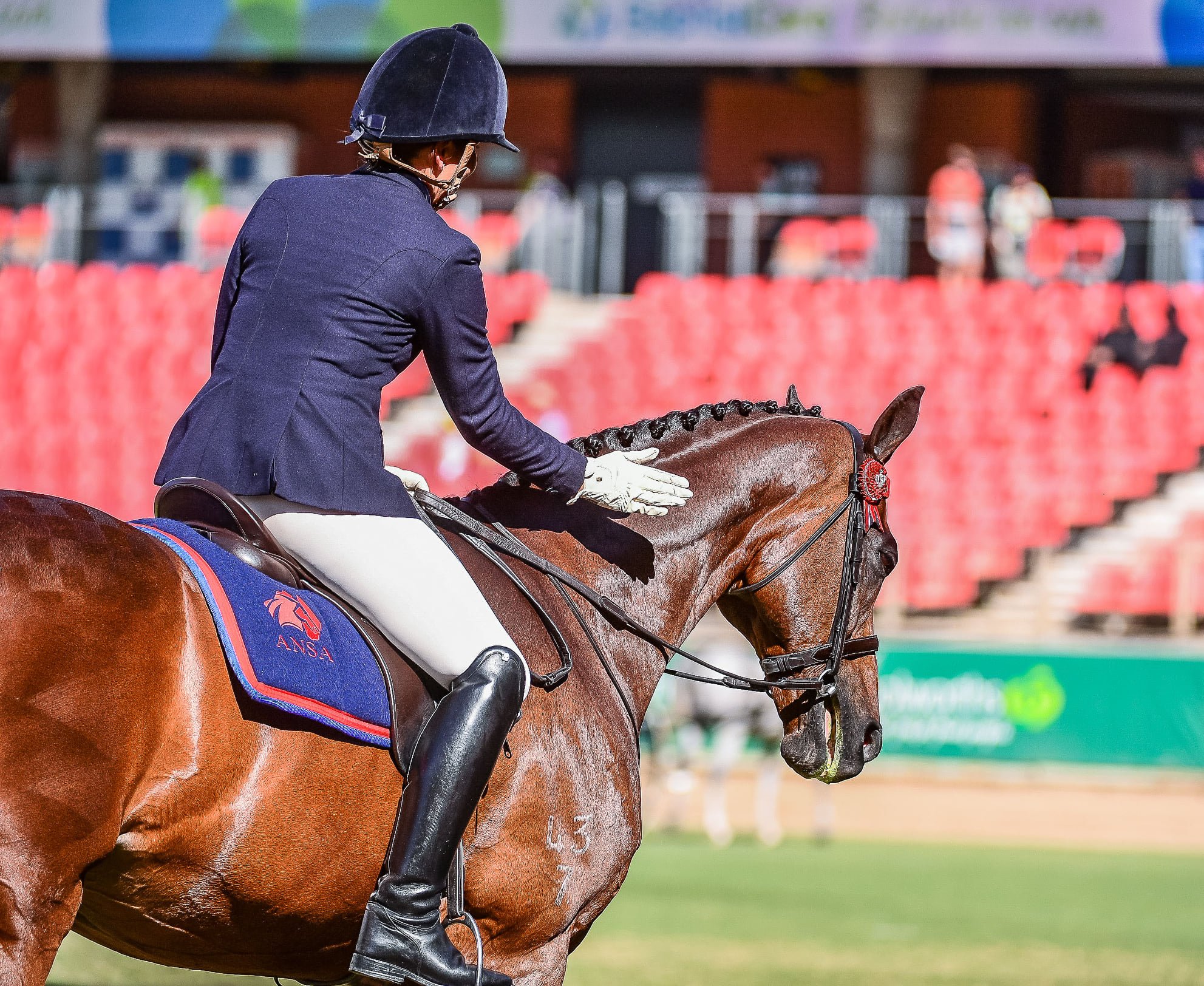 Supreme at Sydney Royal in the ANSA Australian National Saddlehorse class, being patted by his rider after a good workout.