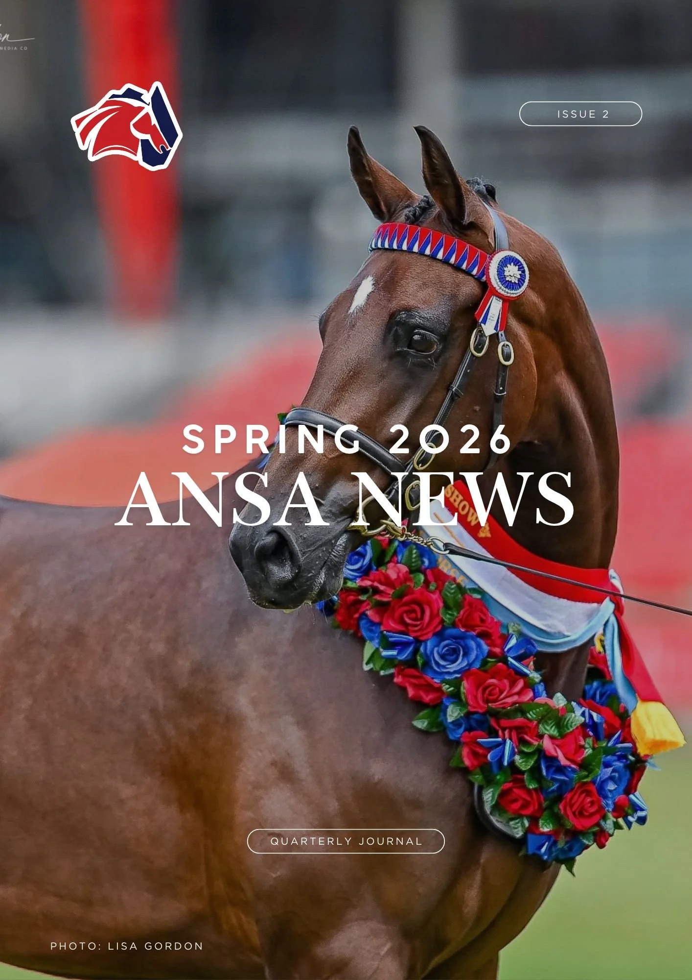 ANSA Spring Newsletter