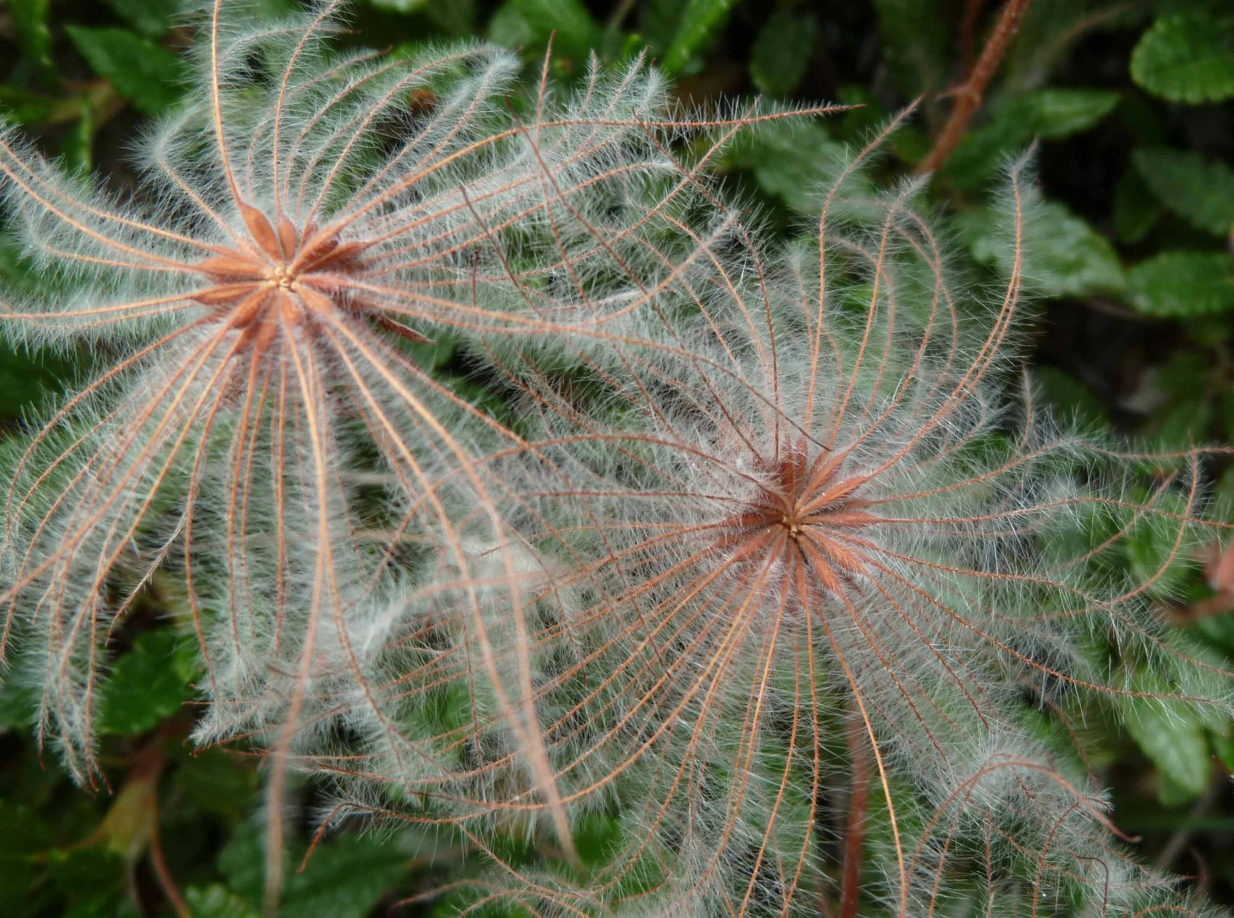 Kunst der Berührung