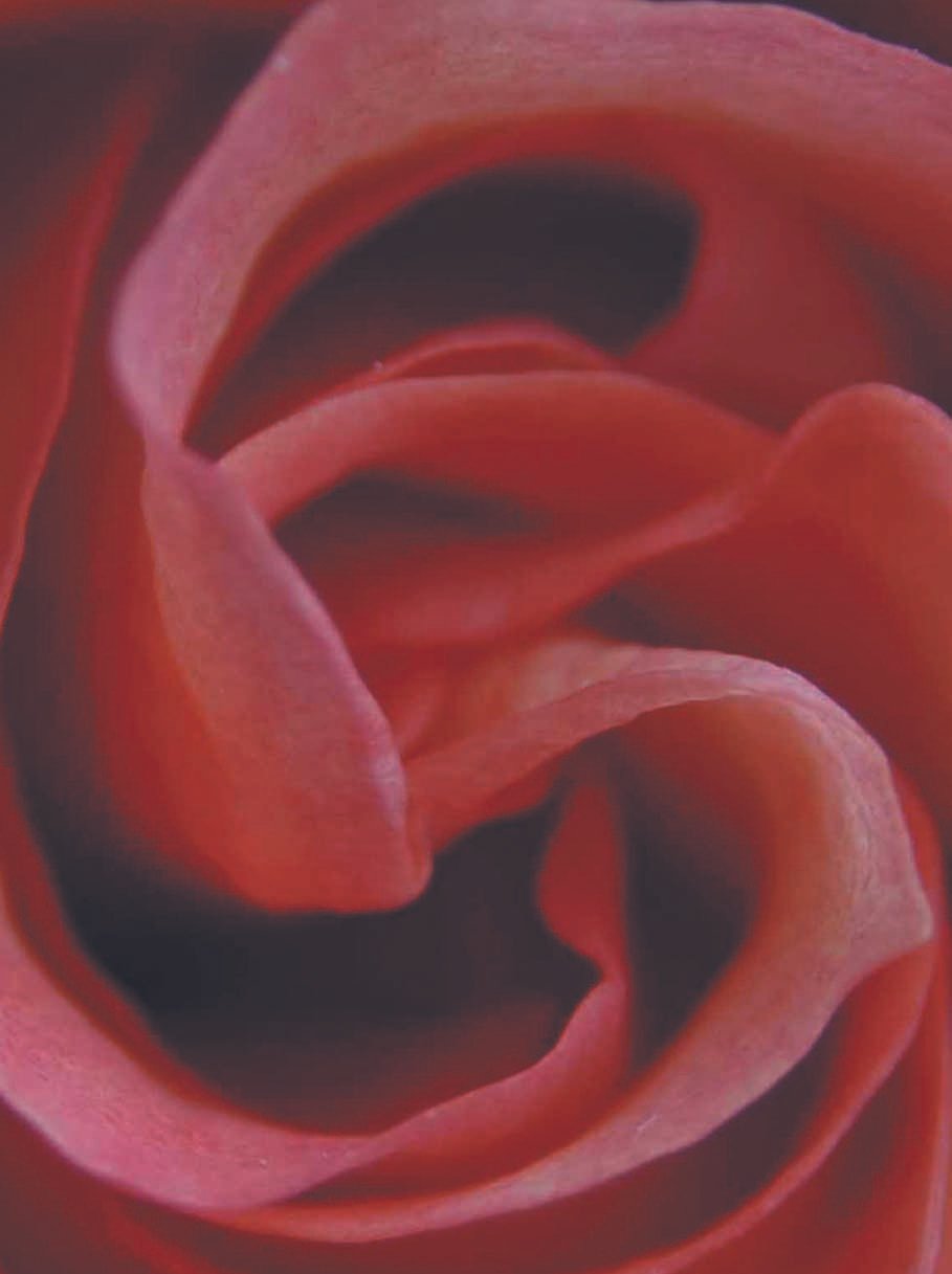 Liebe, Lust und Leichtigkeit