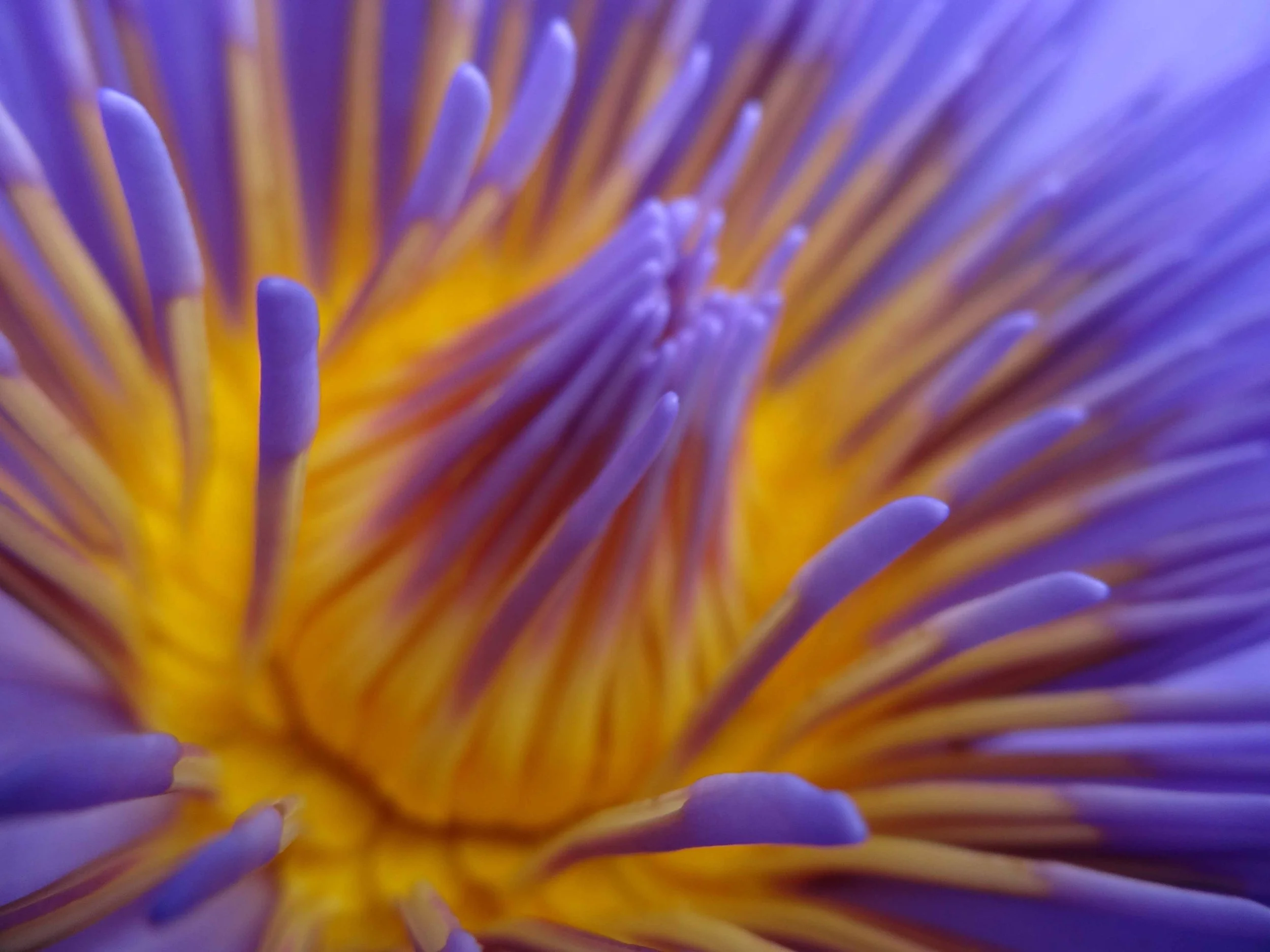 Diving Deeper Nuturing Your Love &amp; Intimacy