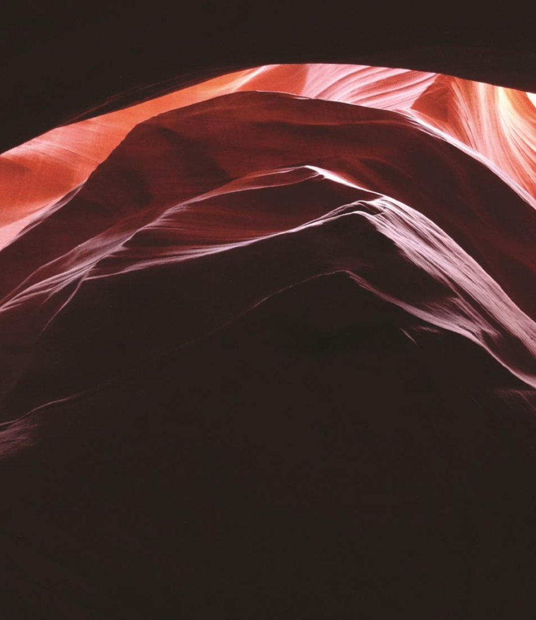 The Growth Project – Bild Canyon