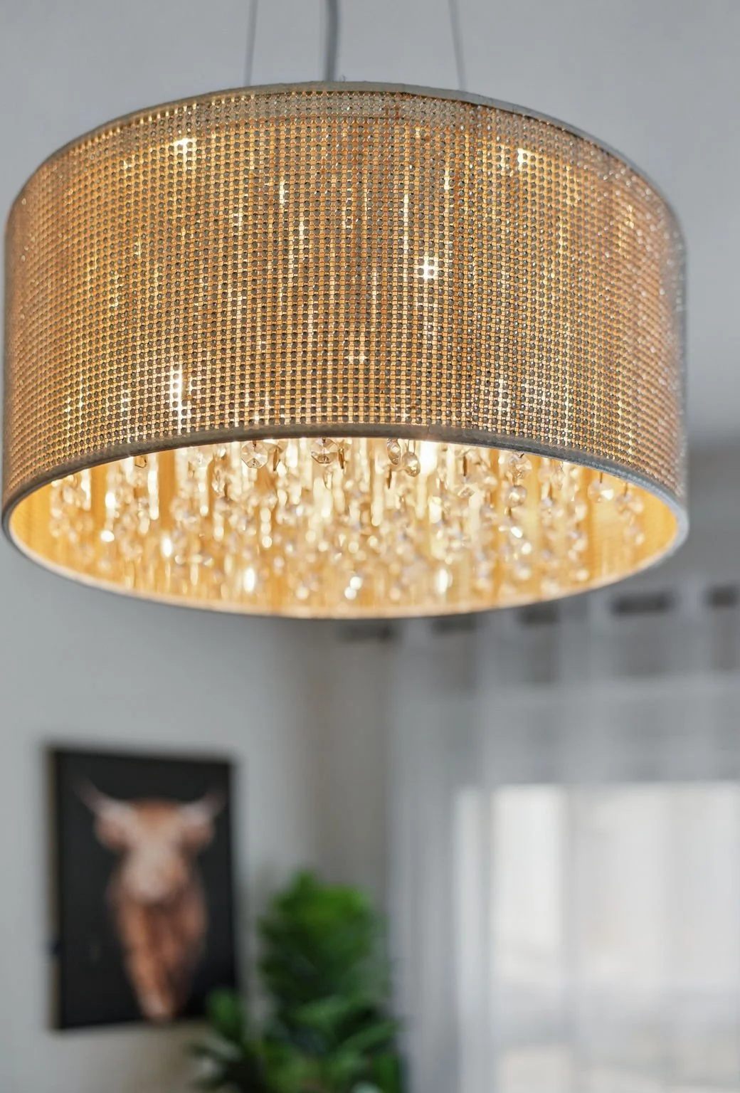 Hello Neighbor - Archer -61.jpg