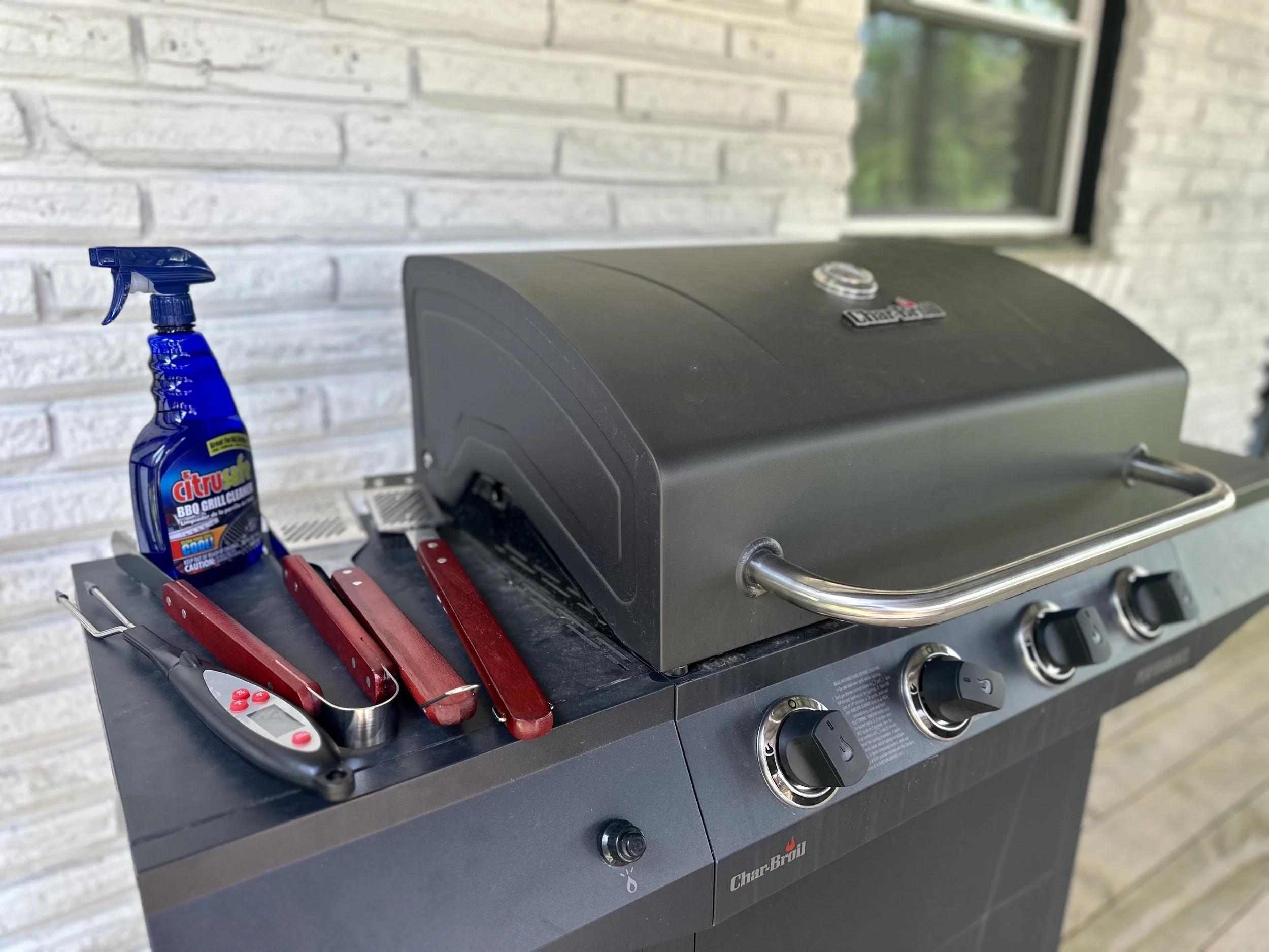 Houston - Tachuri - 32.jpeg