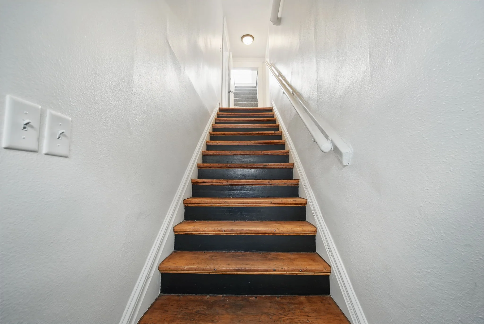 Hello Neighbor - Archer -6.jpg