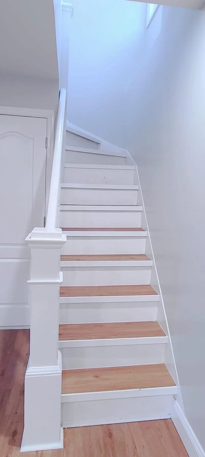 Field of daisy flowers with white petals and yellow centers, softly lit by warm sunlight.