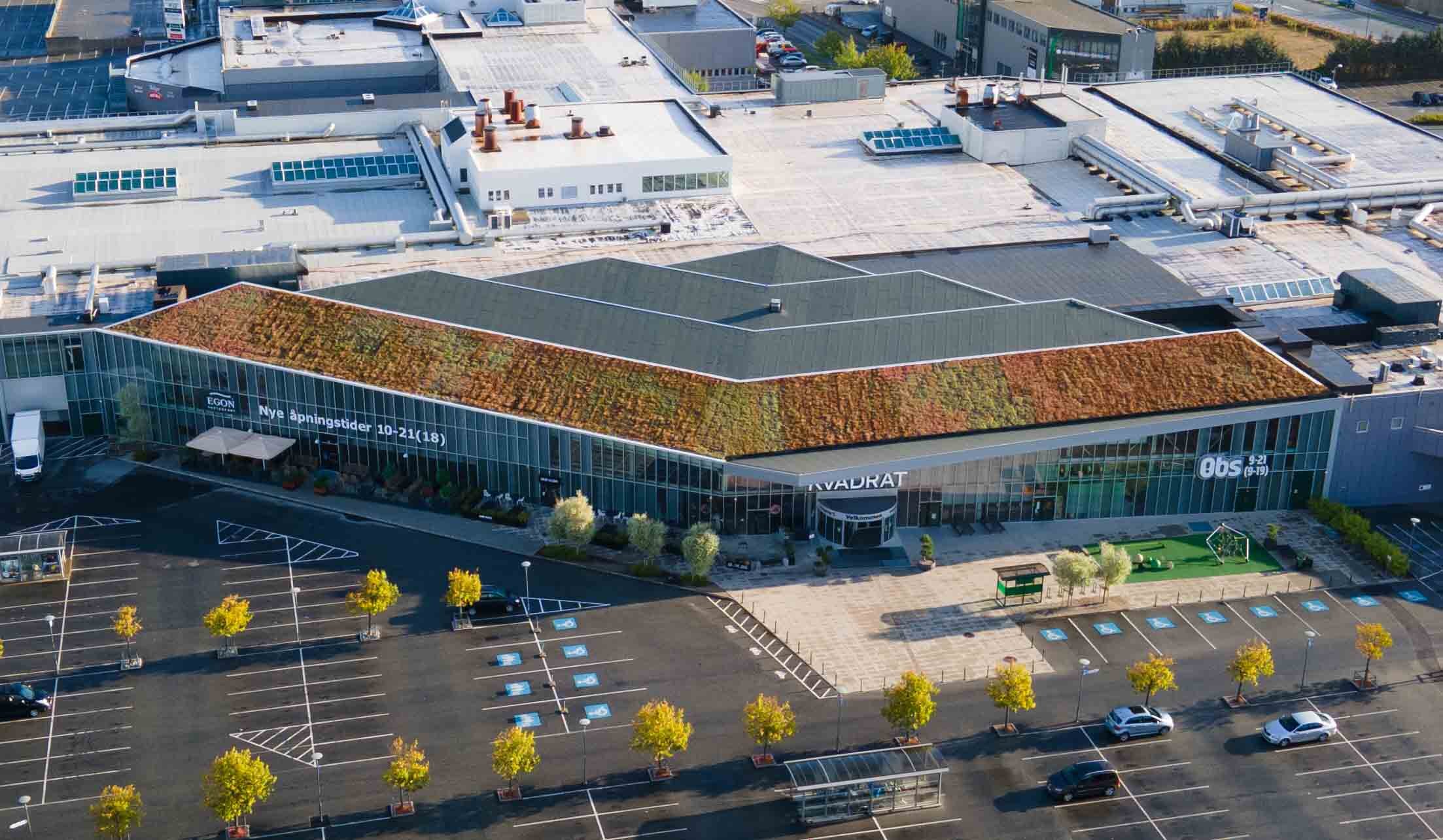 kvadrat sedum tak bergknapp DJI_0321 copy_1.jpg