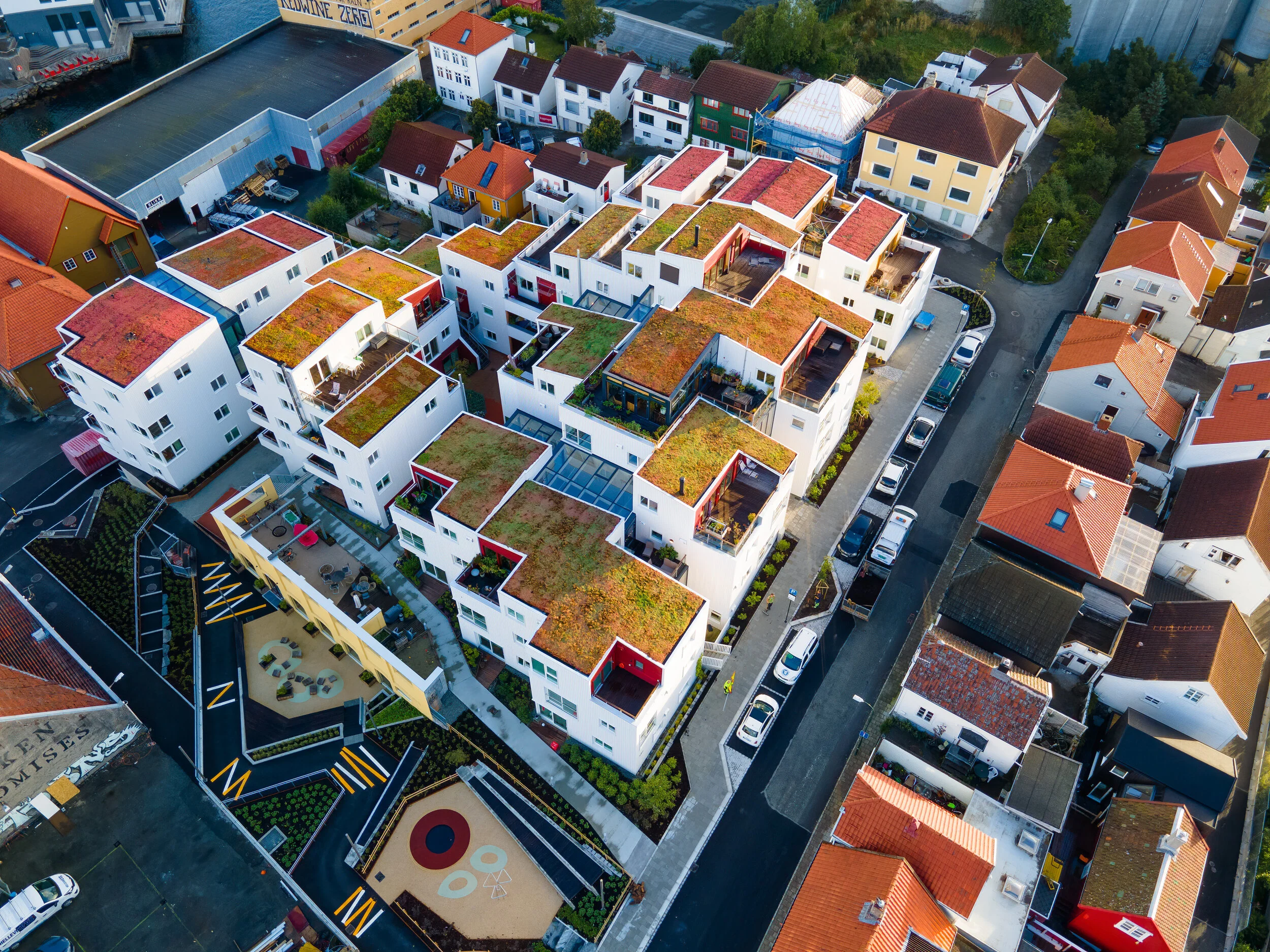 Vindmøllebakken - sedum - grønne tak - bergknapp.jpg