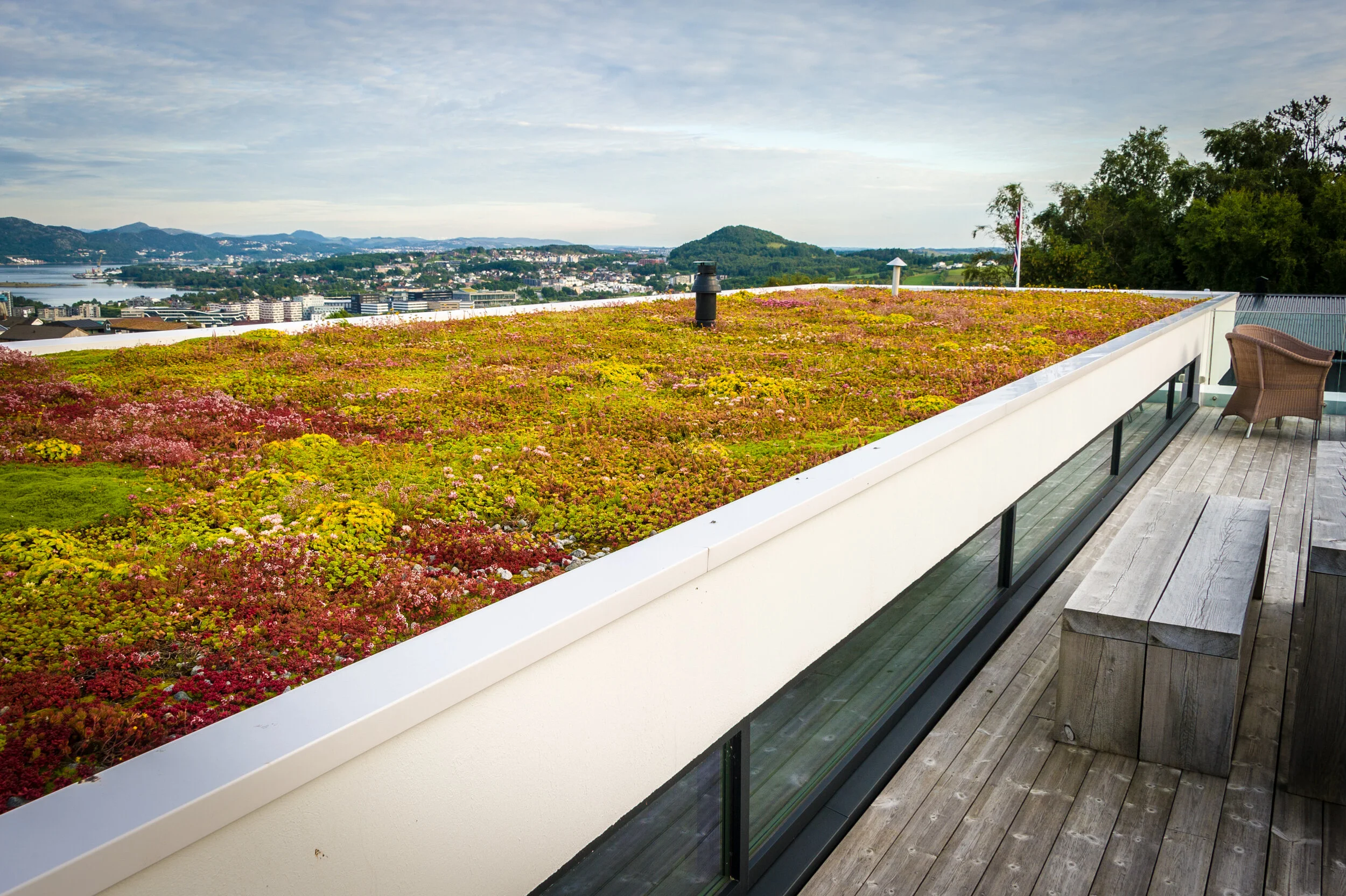 bergknapp - 130717205533-KMD_9537 copy.jpg