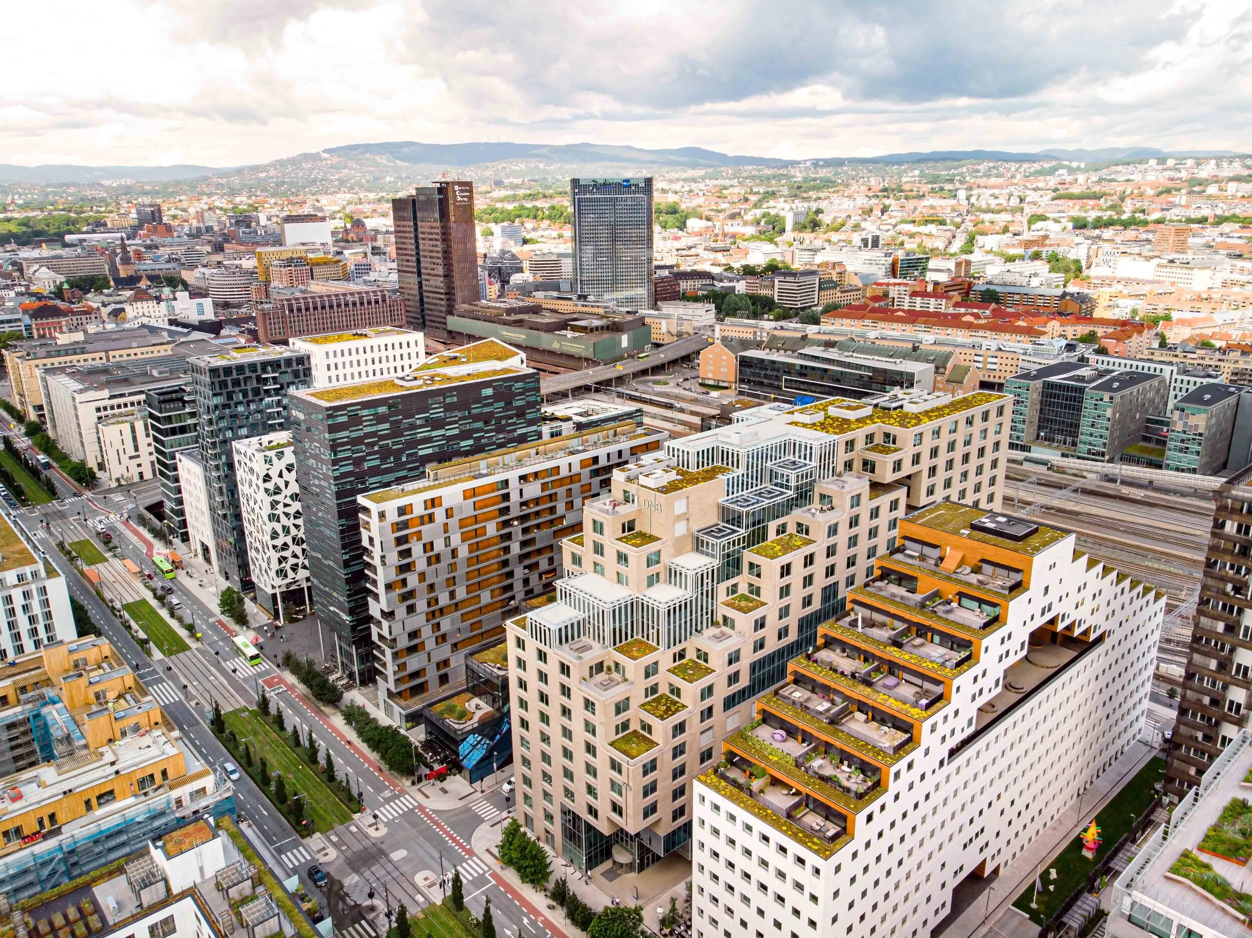 Bergknapp Barcode 3.jpg