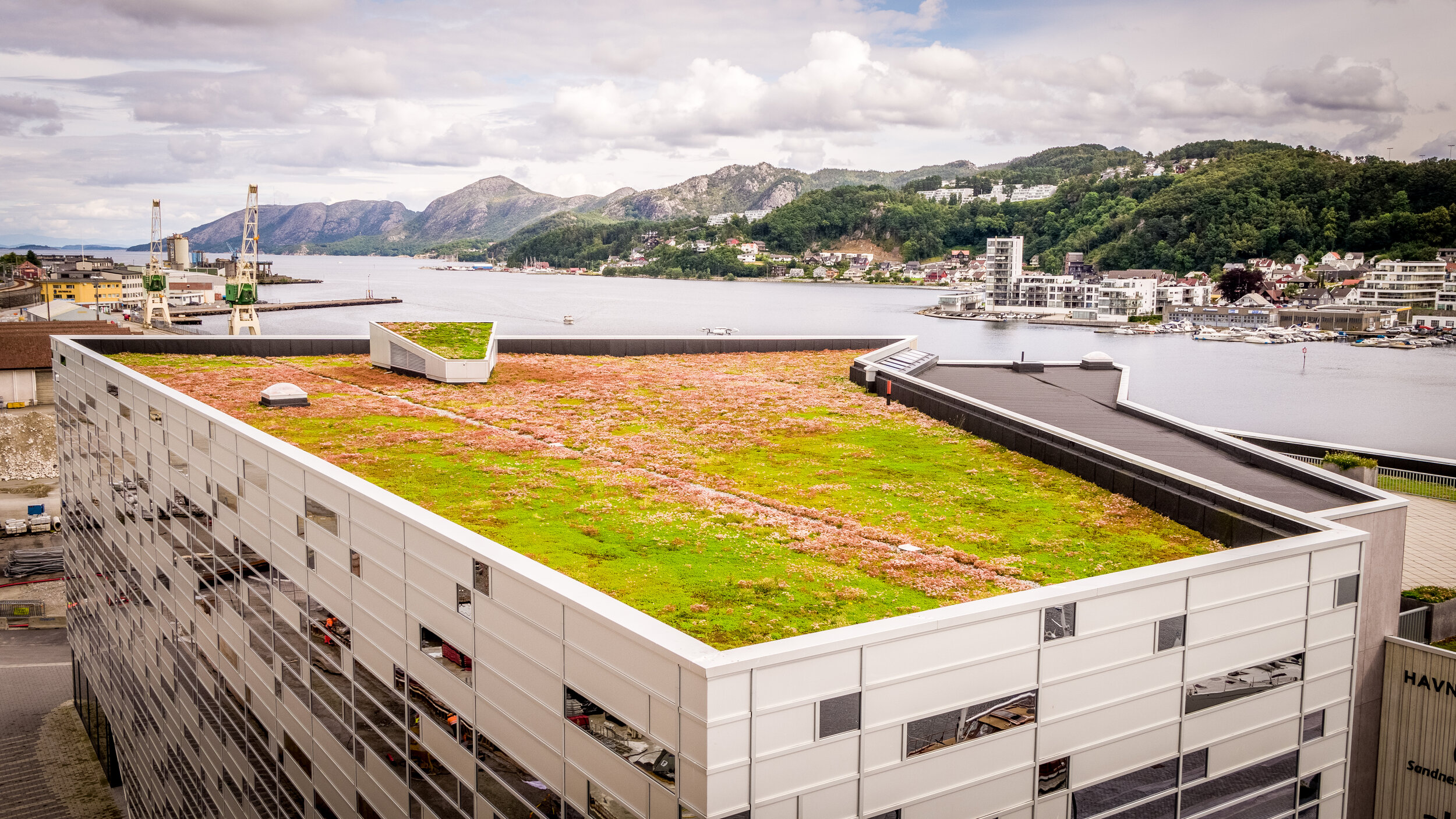 bergknapp - REFERANSE 05.jpg