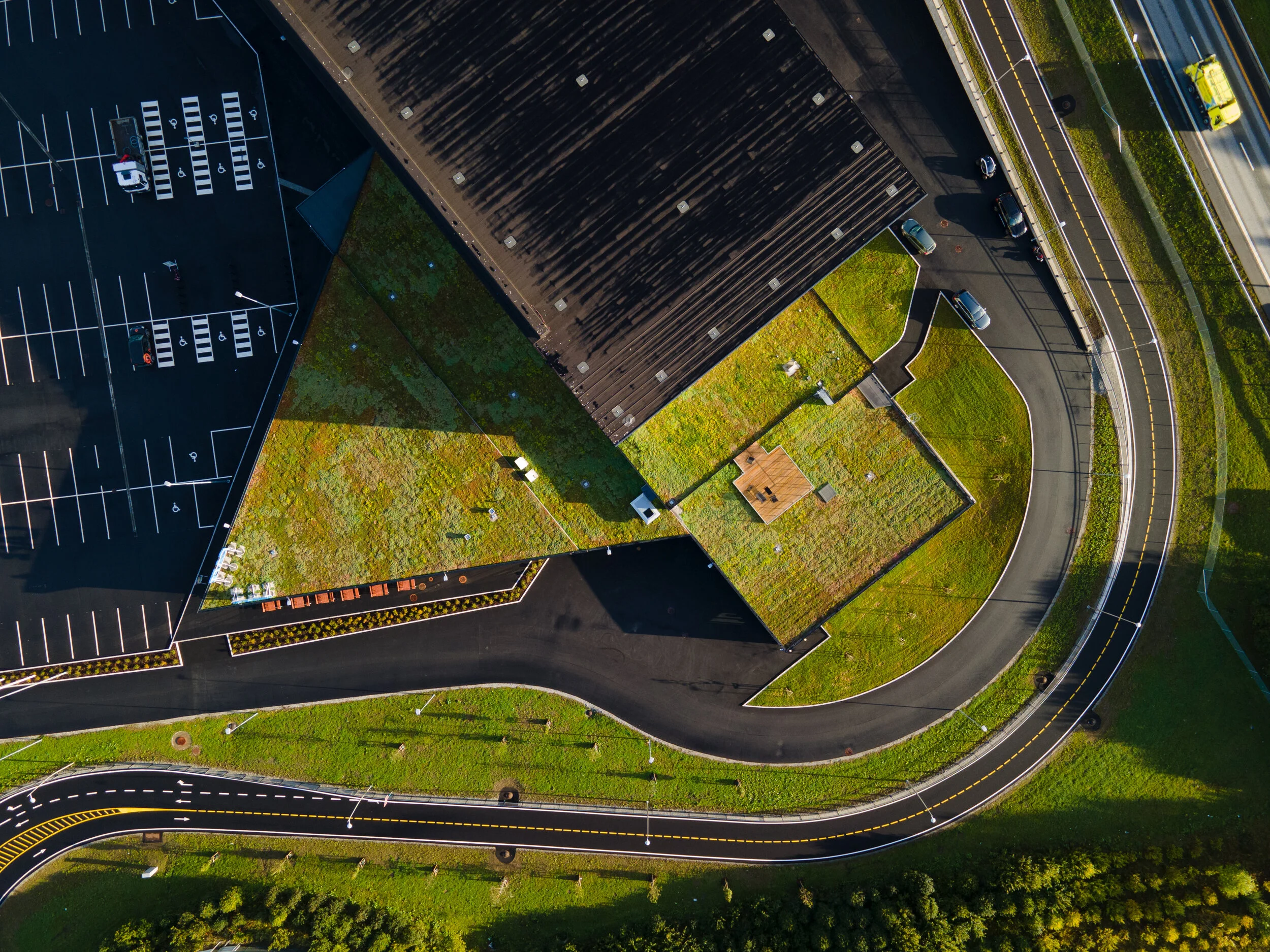 biltema sedum tak bergknapp DJI_0313.jpg