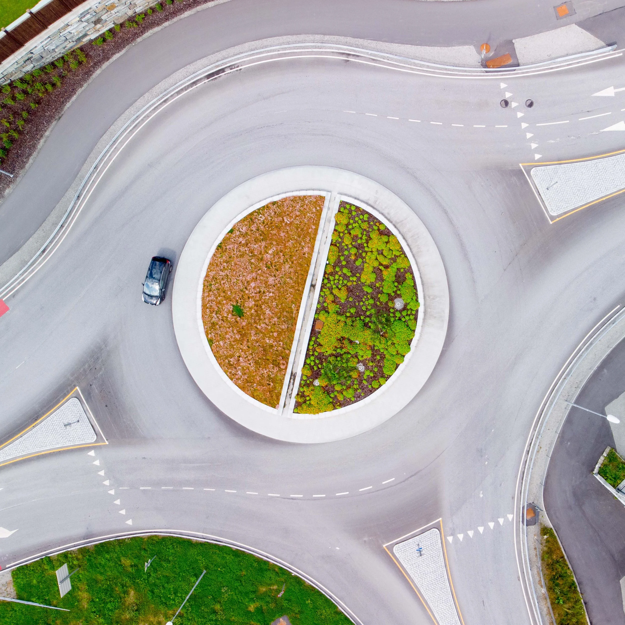 sedum bakken 0001.jpg