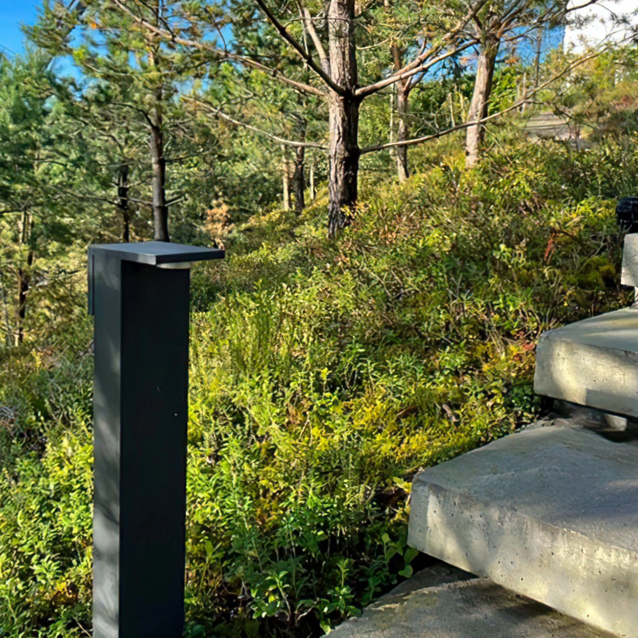 Skogsmatta  0008.jpg