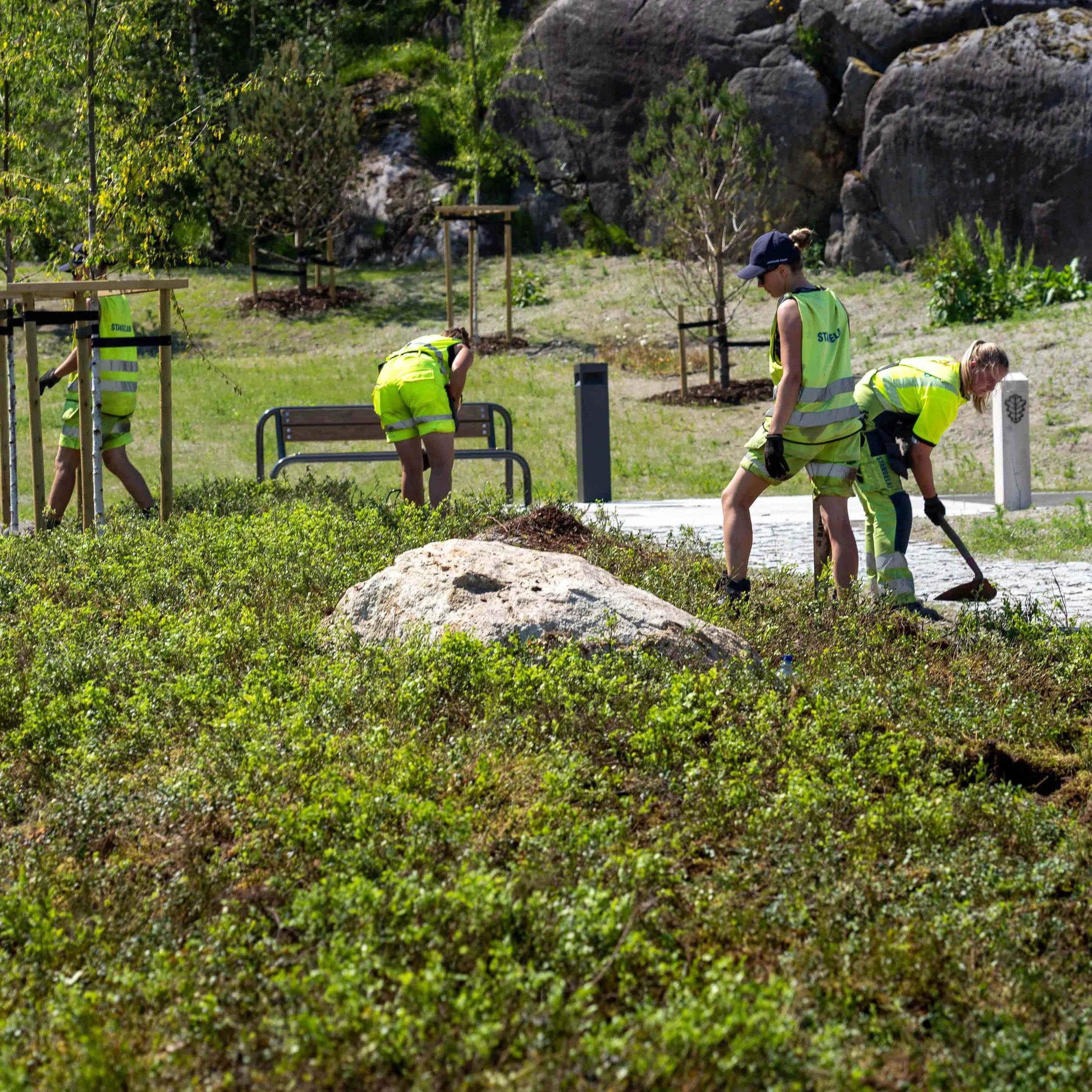 Skogsmatta  0009.jpg