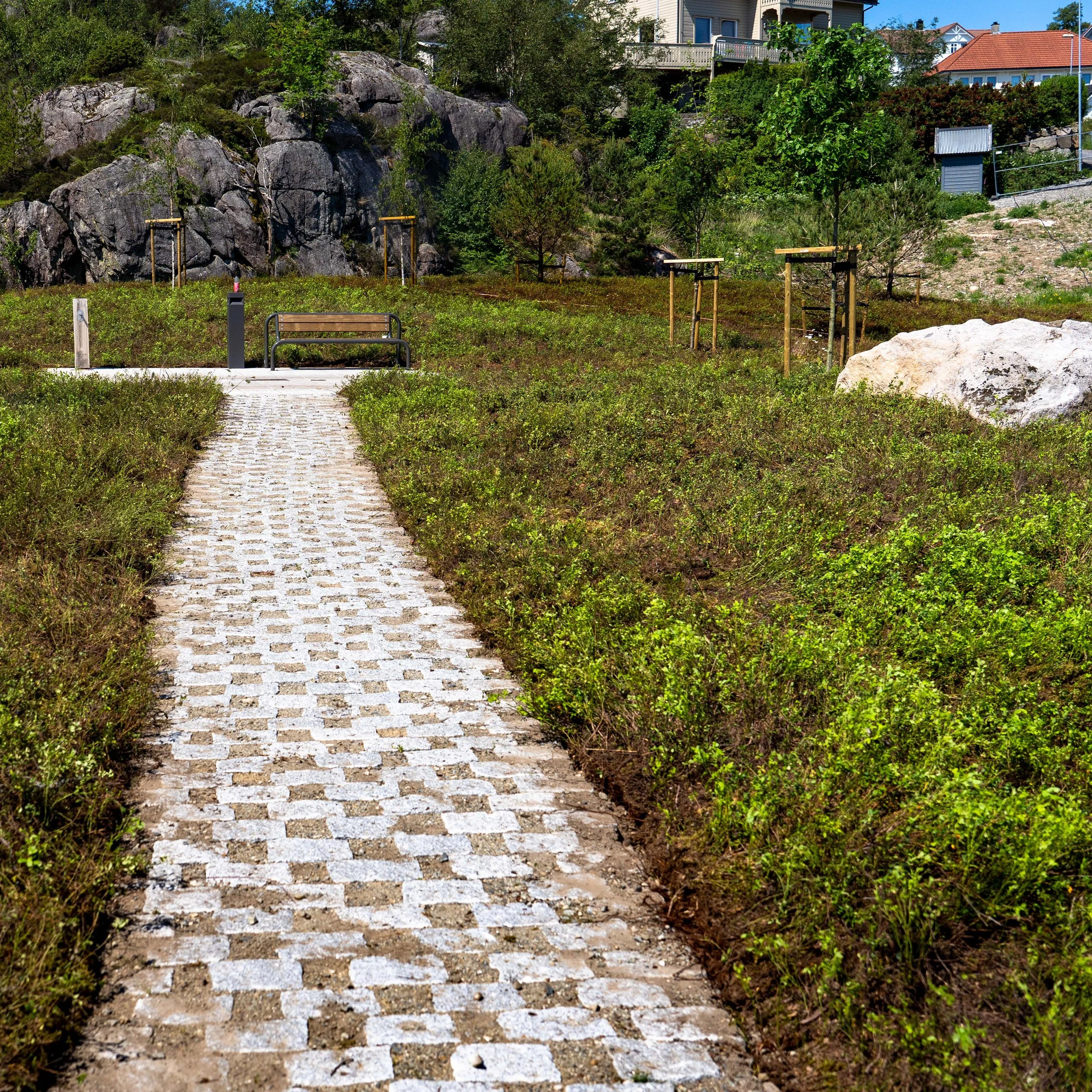 Skogsmatta  0012.jpg