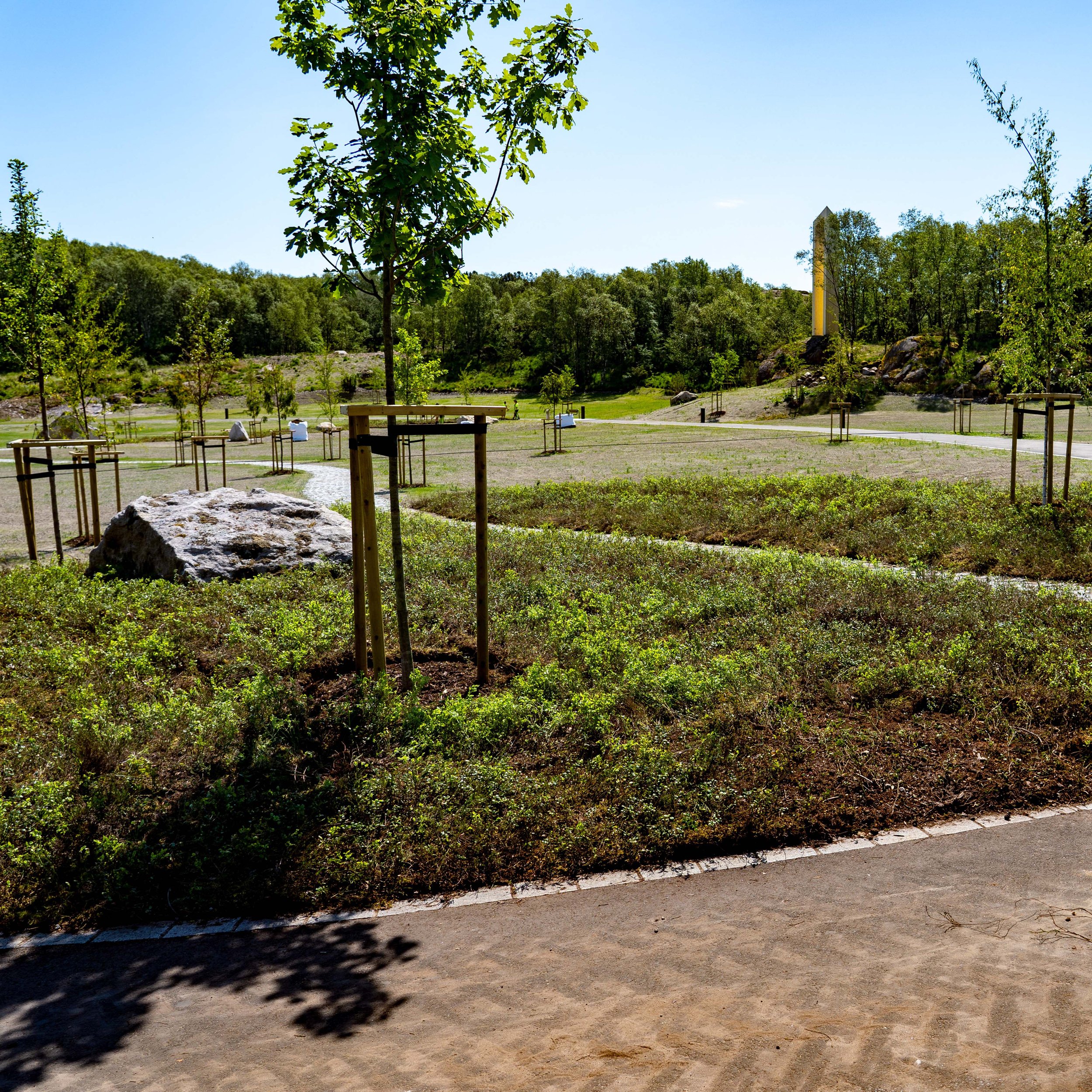 Skogsmatta  0013.jpg