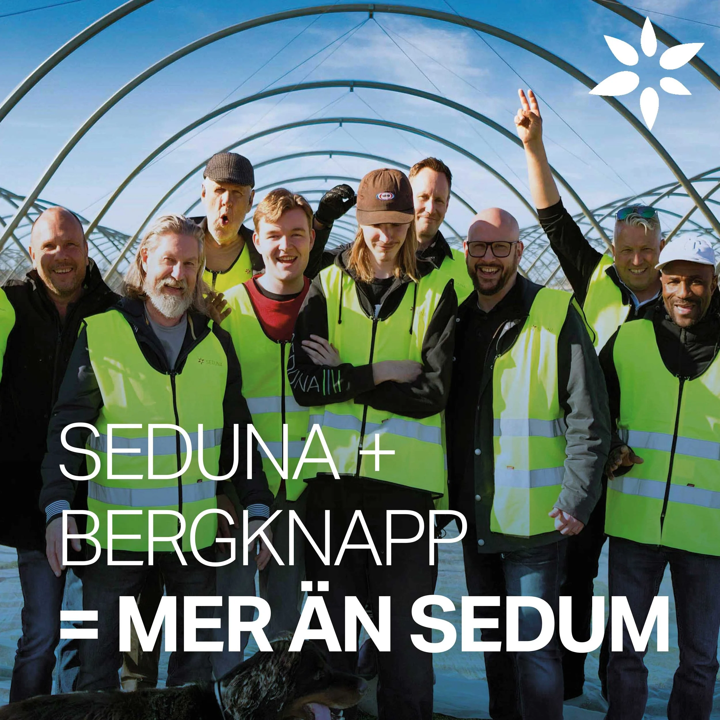 Seduna hos Bergknapp