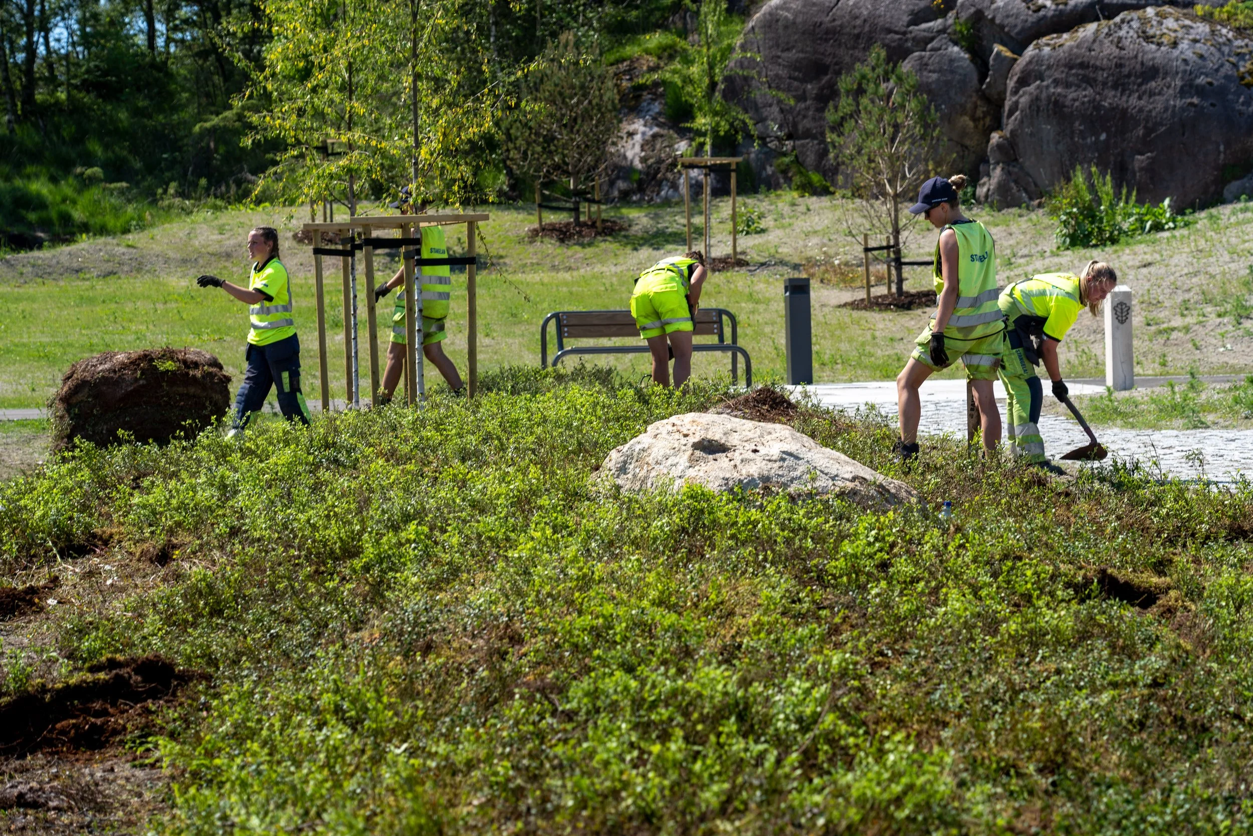 lyngmatter egersund _DSC2679.jpg