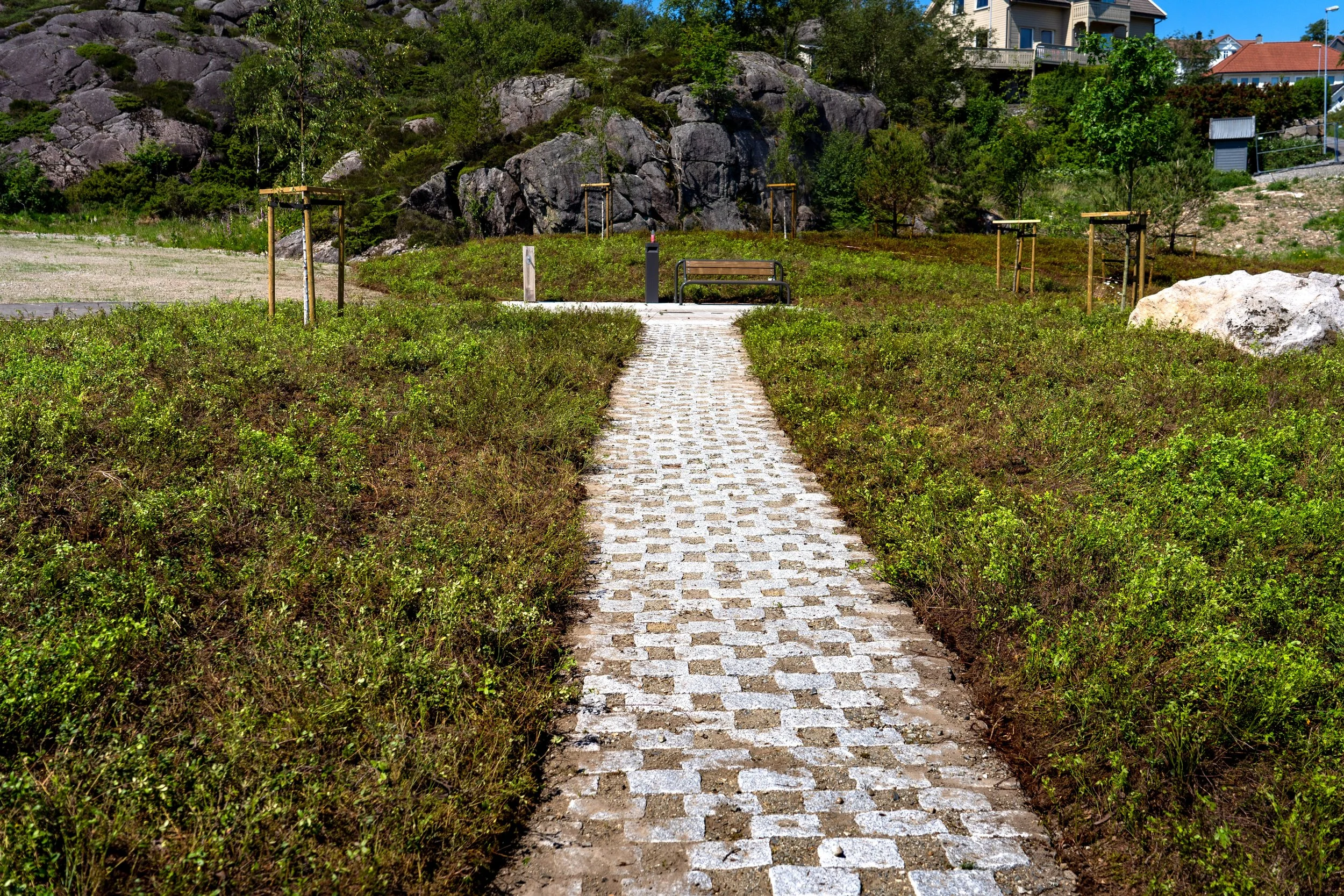 lyngmatter egersund _DSC2759.jpg