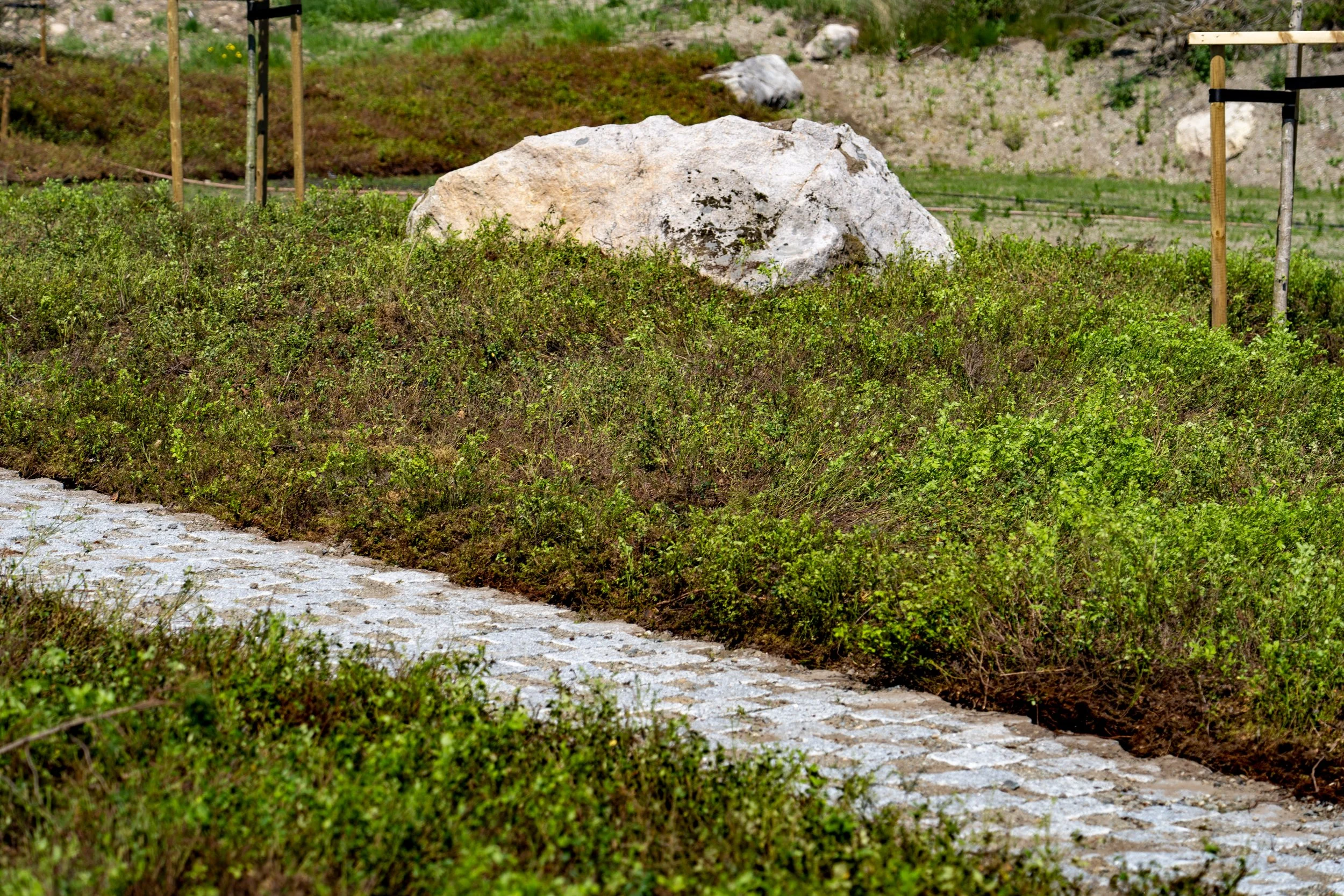 lyngmatter egersund _DSC2755.jpg