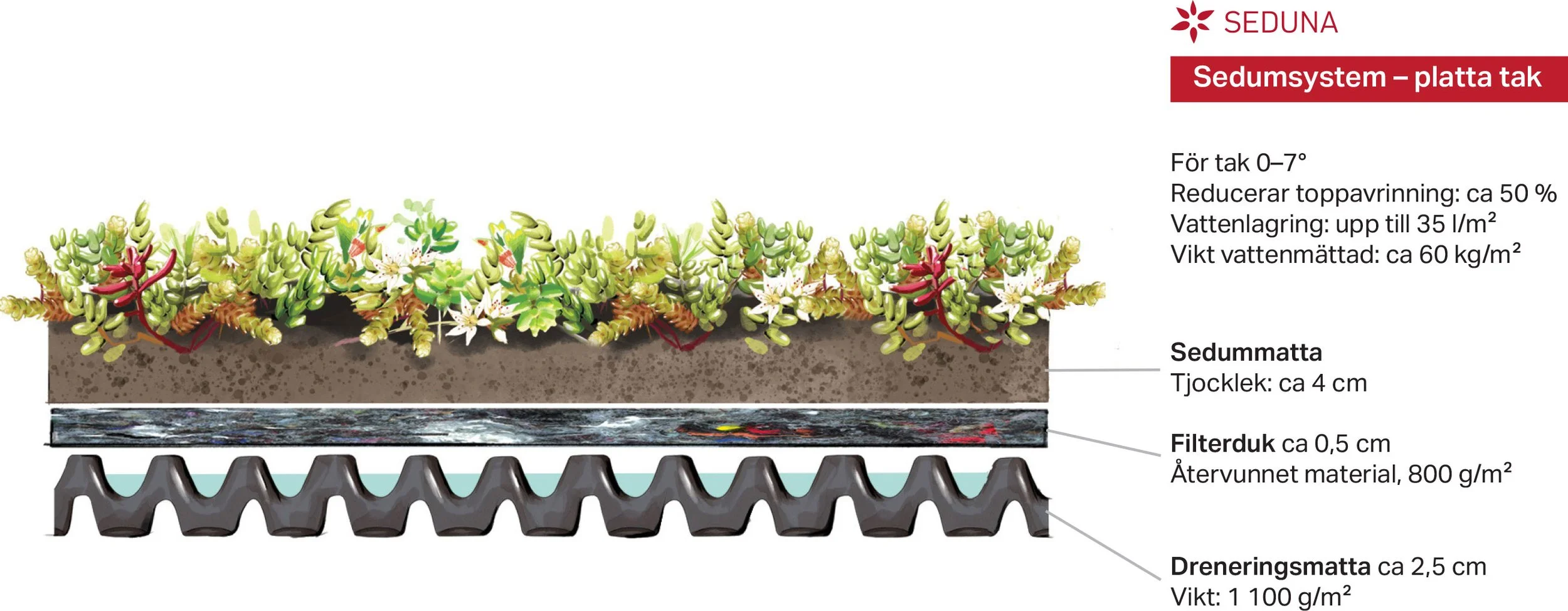 Illustrationen visar ett sedummattetak (extensivt grönt tak) Sedummattan levereras färdigvuxen och läggs som ett sammanhängande ytskikt. Uppbyggnaden under (filterduk och dräneringsmatta) anpassas efter takets tätskikt och fall.