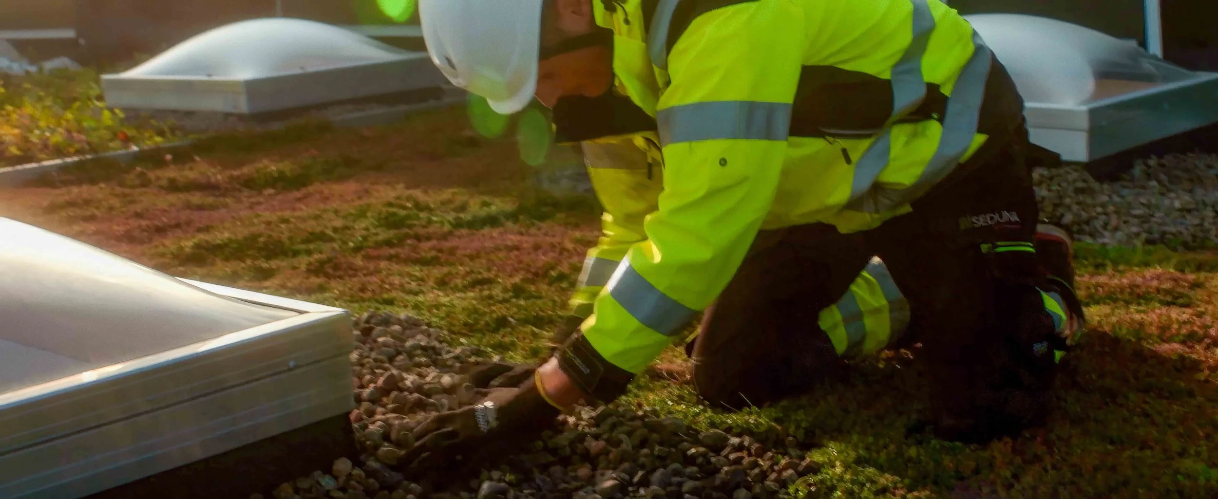 seduna fra film 002.jpg