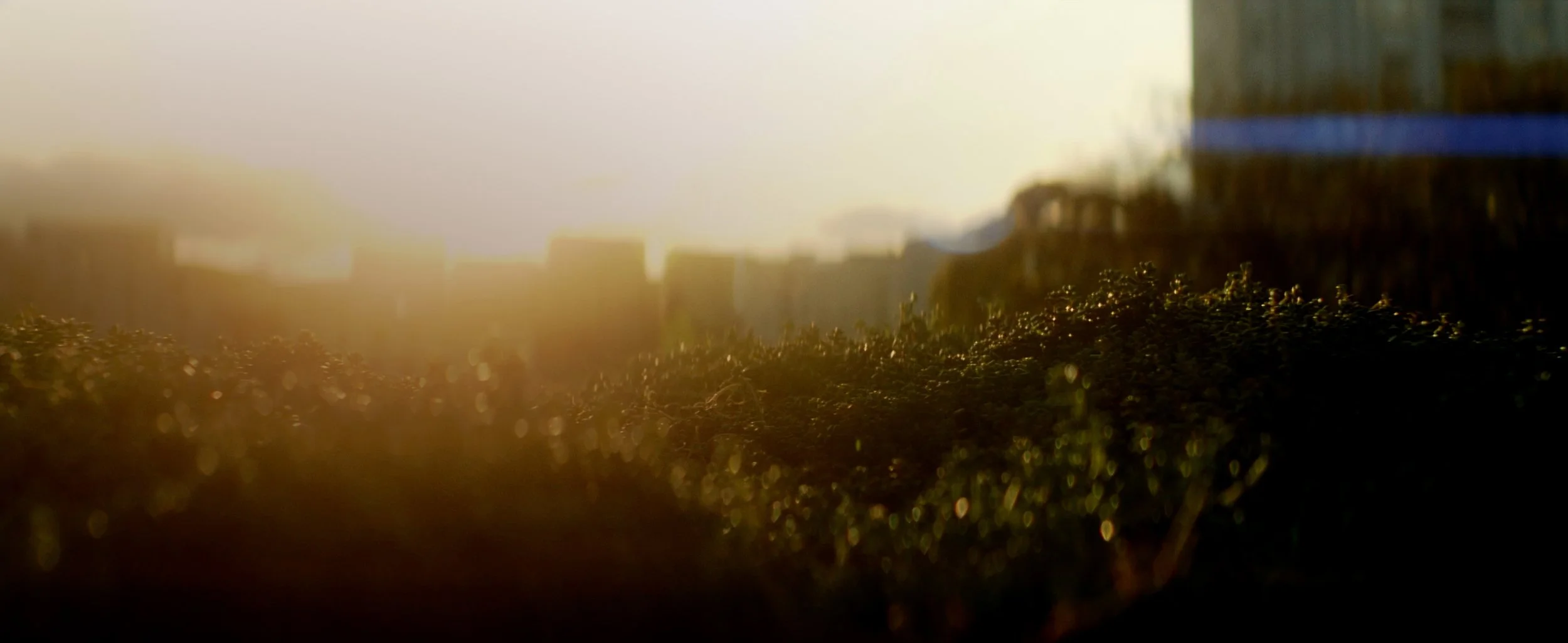 seduna webfront FB.jpg