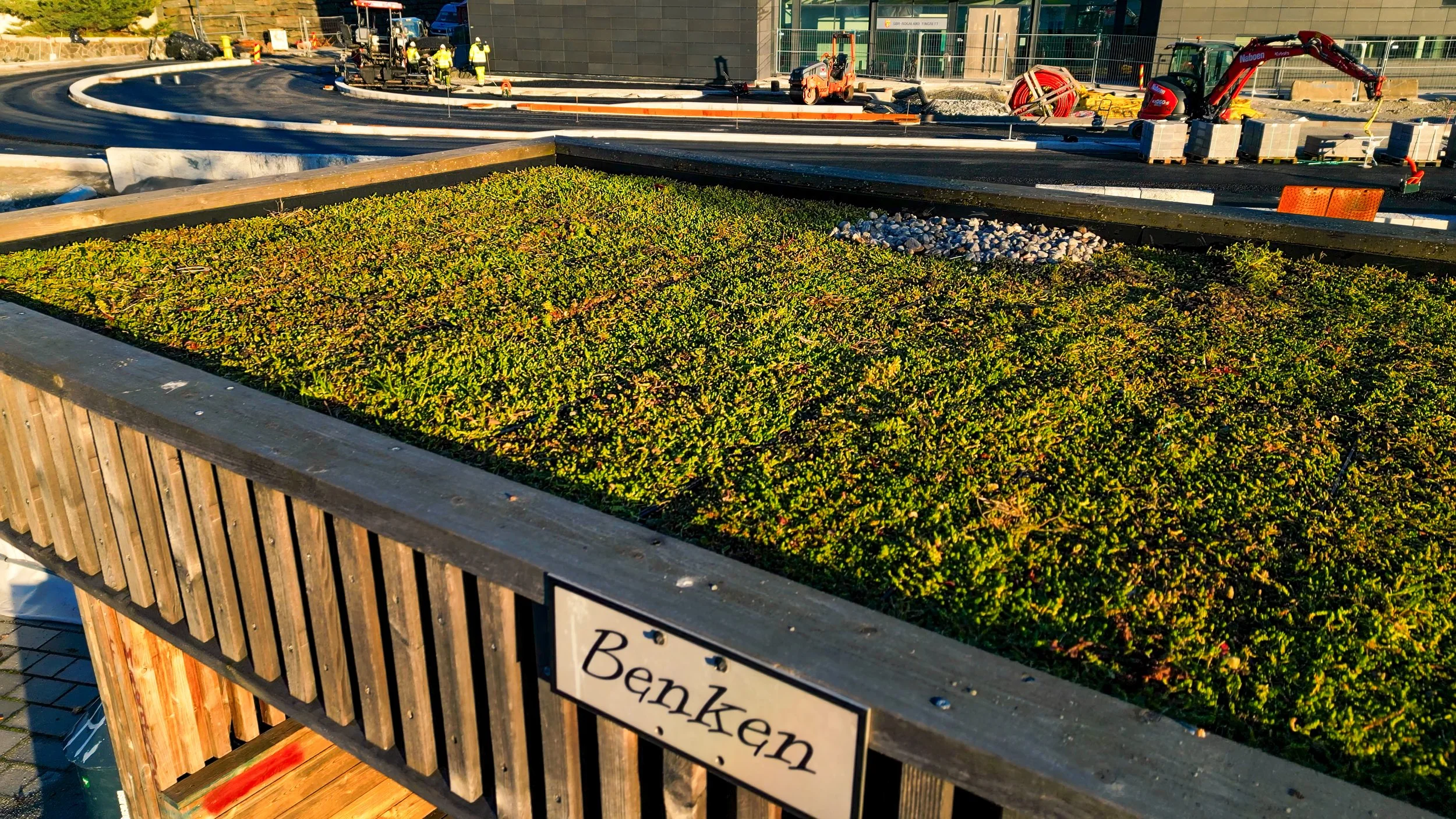 Benken sedumkassetter C3273.00_02_51_00.033.jpg