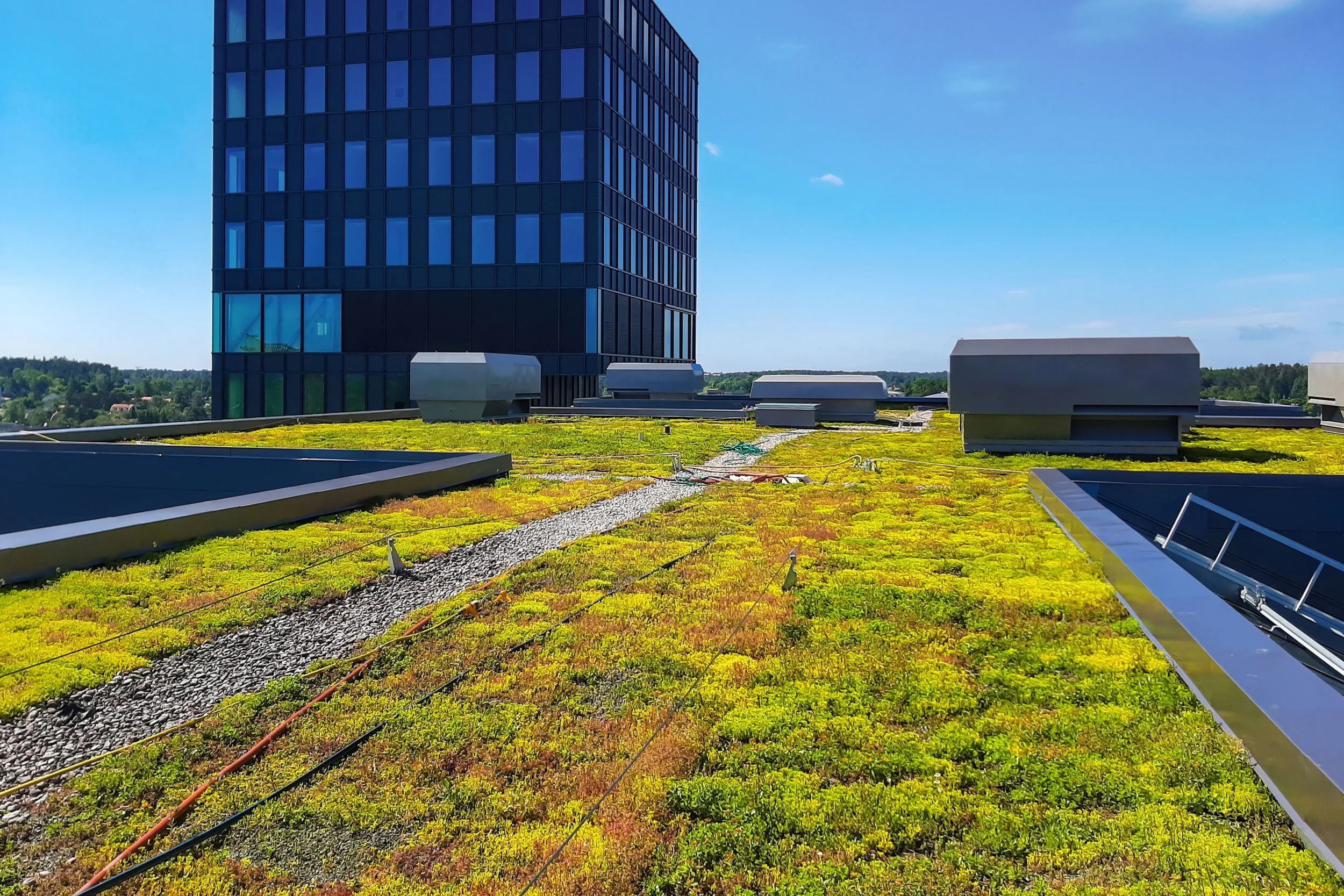 BAS Barkaby-3 - Seduna.jpg