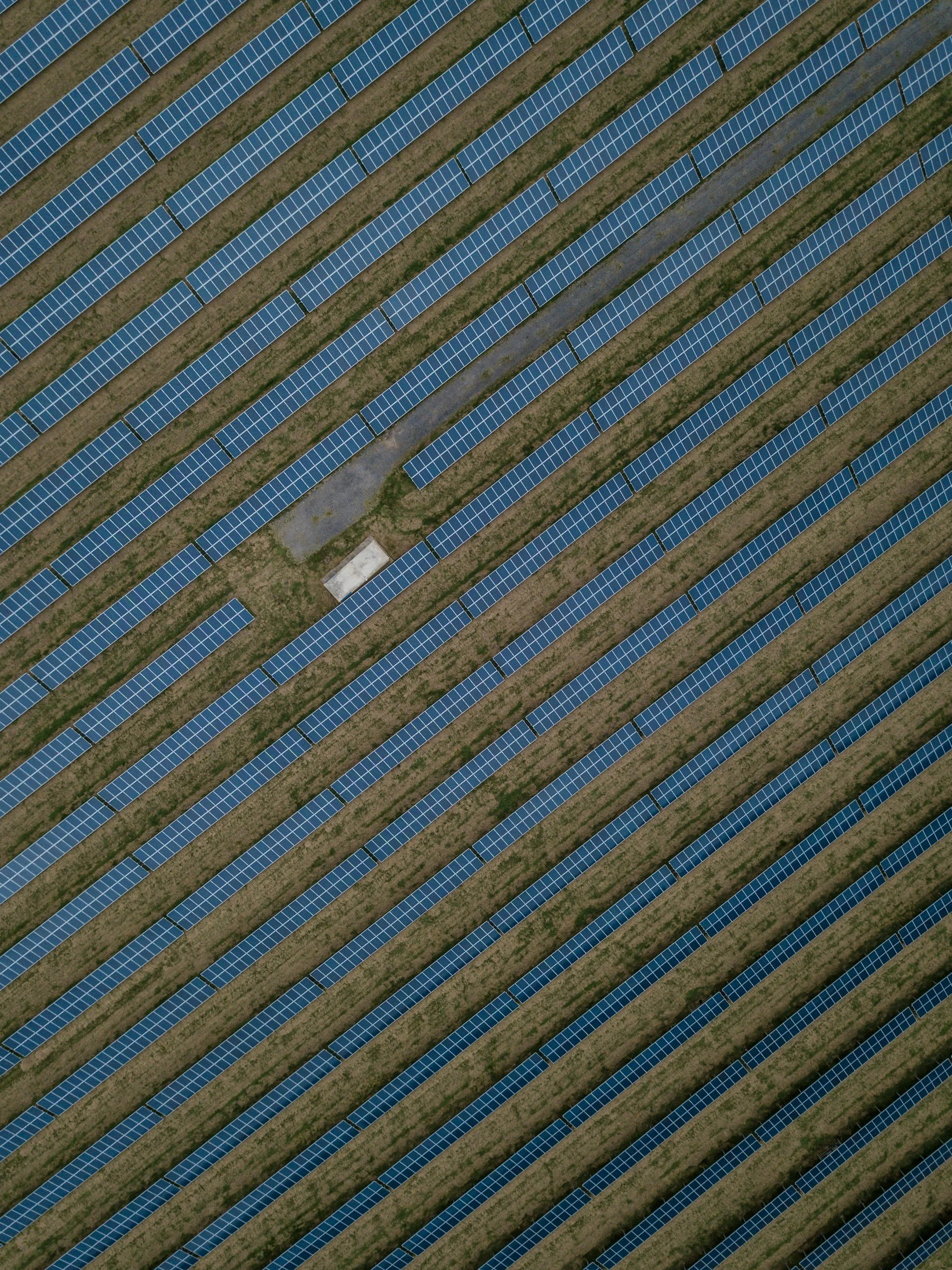 An aerial view of a large solar panel farm with rows of blue solar panels on grassy land.
