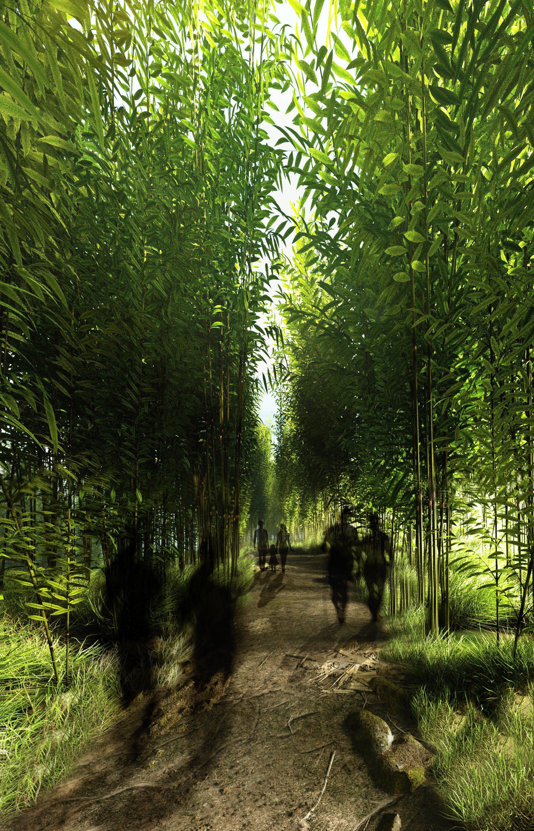 Pathway Day View.jpg