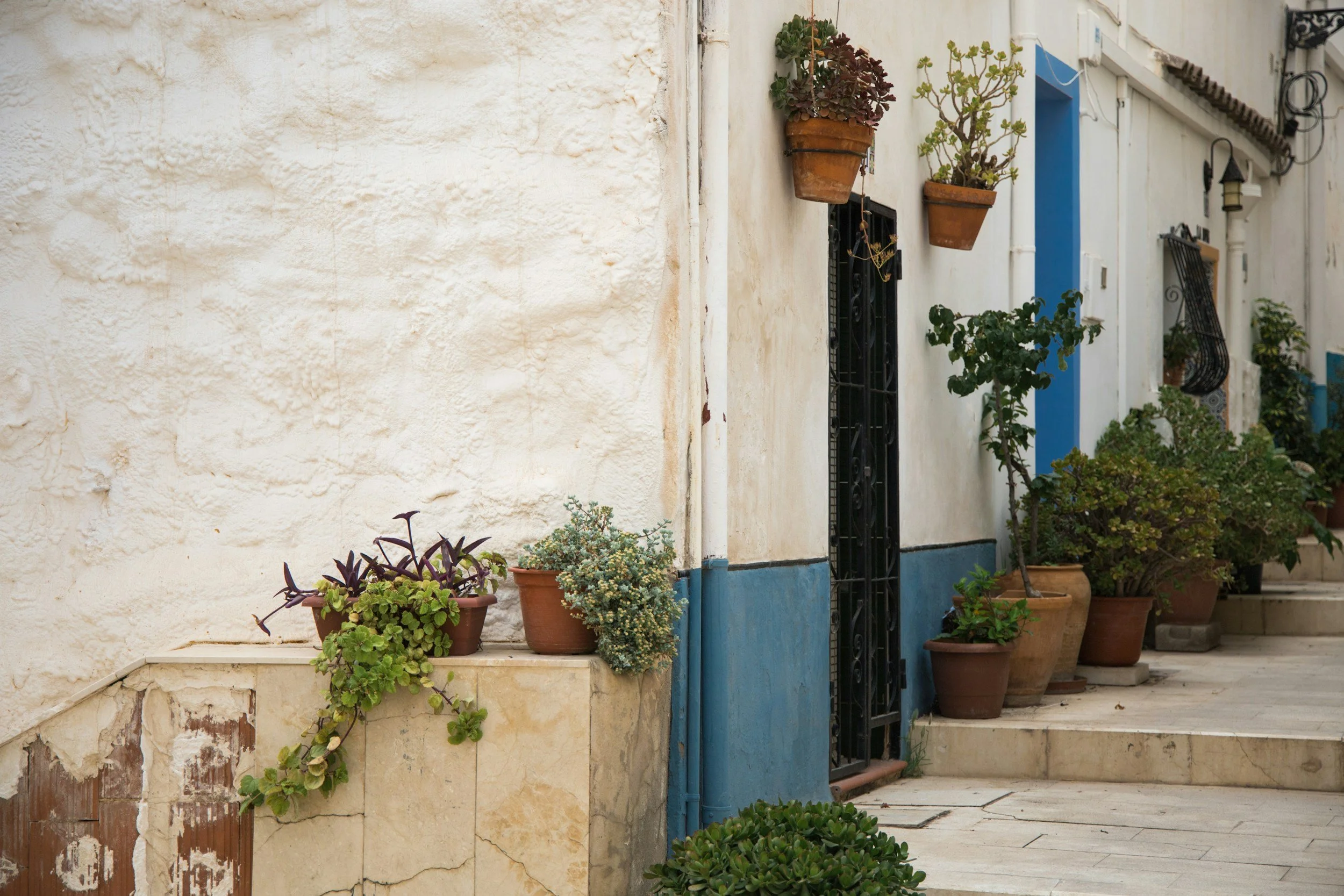 A whitewashed traditional Spanish house with a blue door and plants