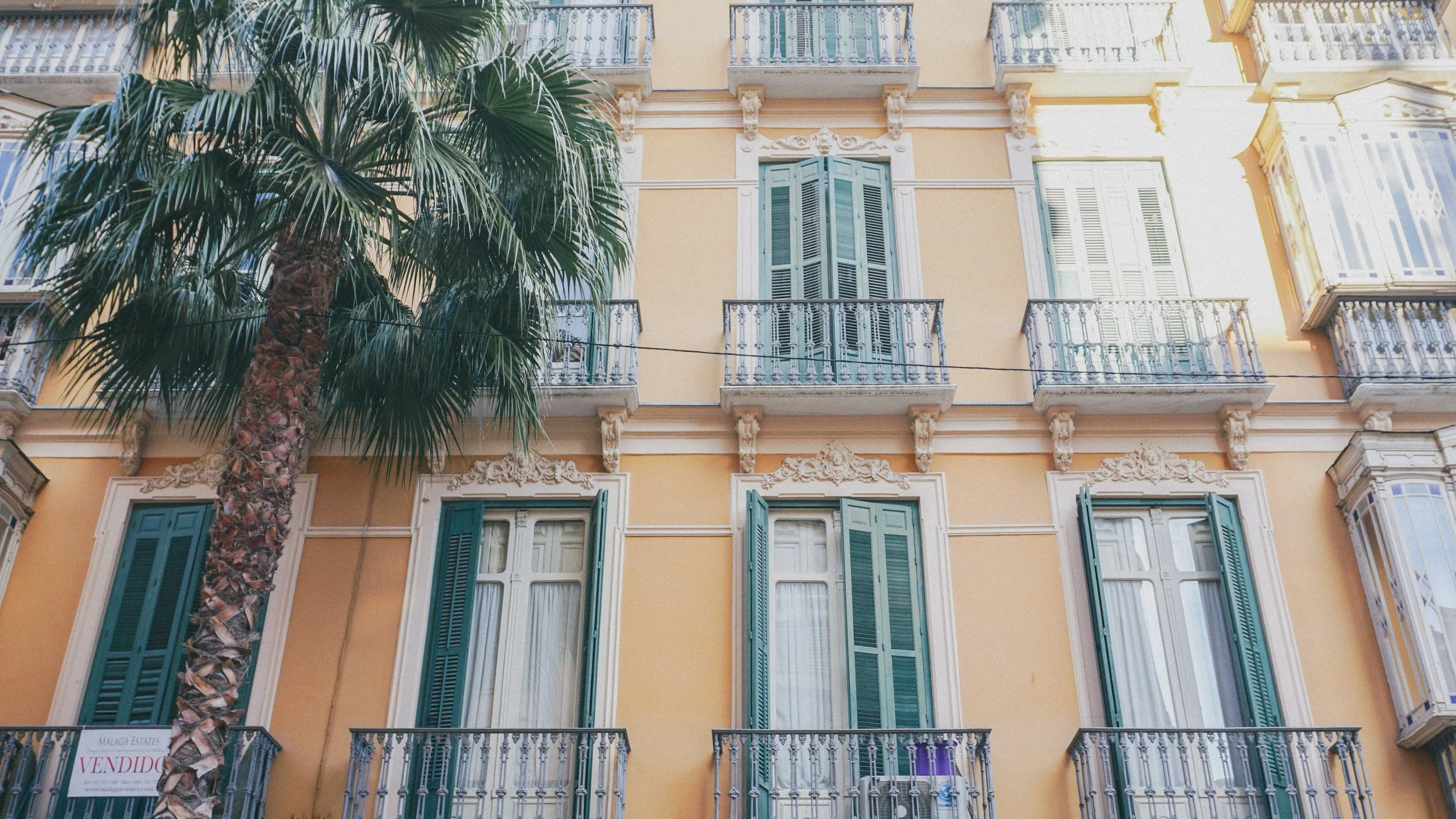 A tall palm tree in front of a multi-story yellow building with white decorative accents, green shutters, and small balconies, some with purple potted plants.