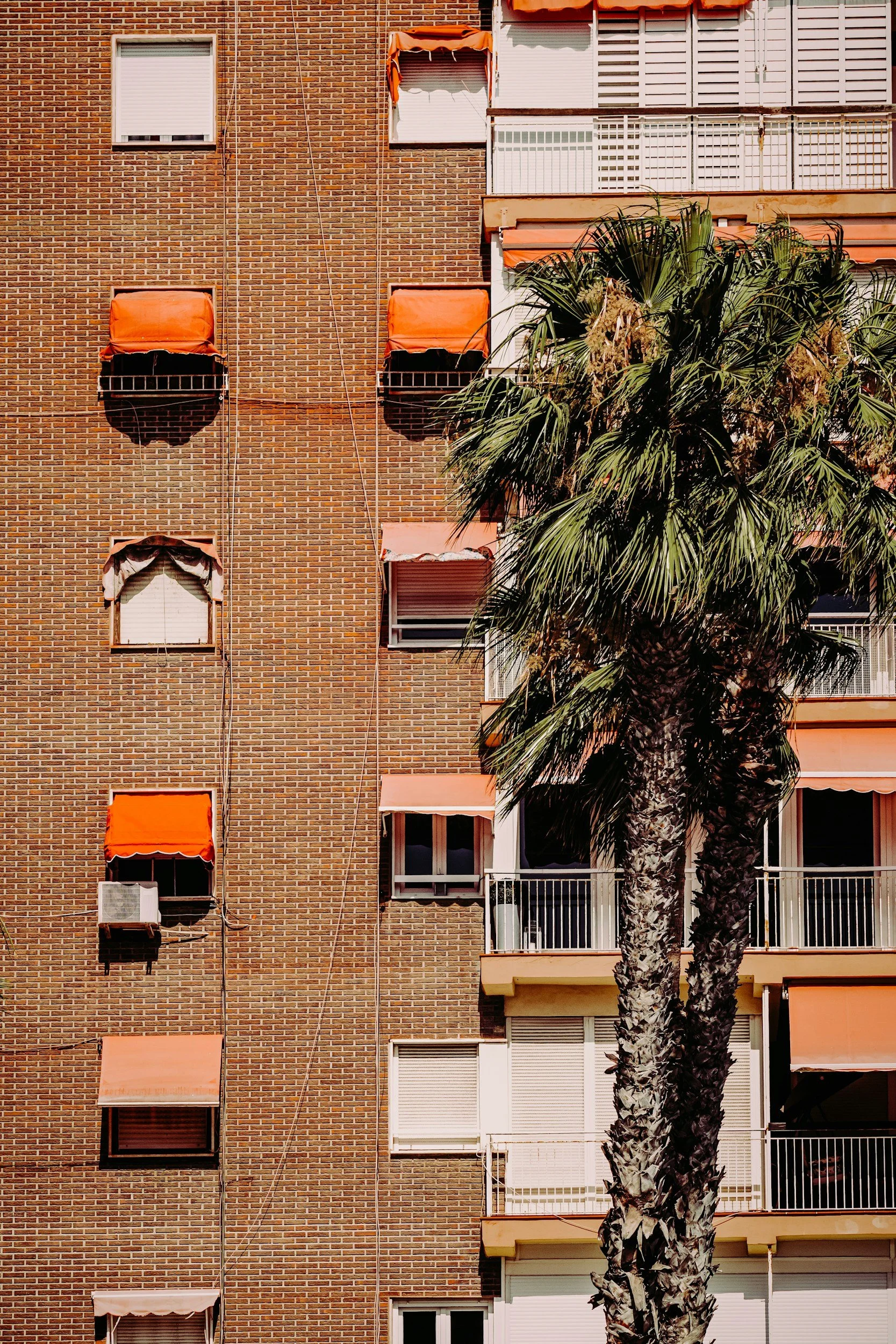 Long-Term vs Short-Term Rentals in Spain: What Expats and New Arrivals Need to Understand