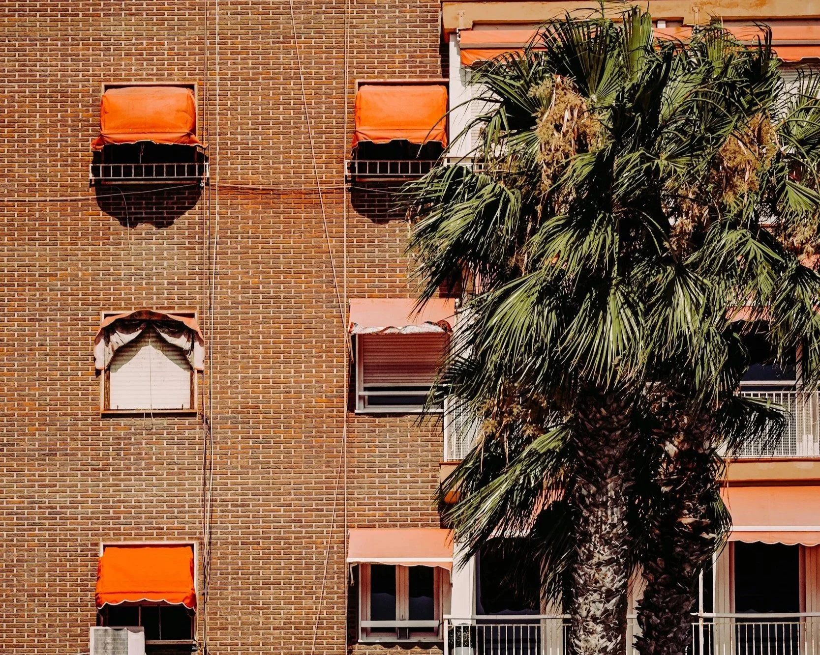 A typical Spanish block of apartments, with orange sunblocking in front of the windows with a Palm tree.
