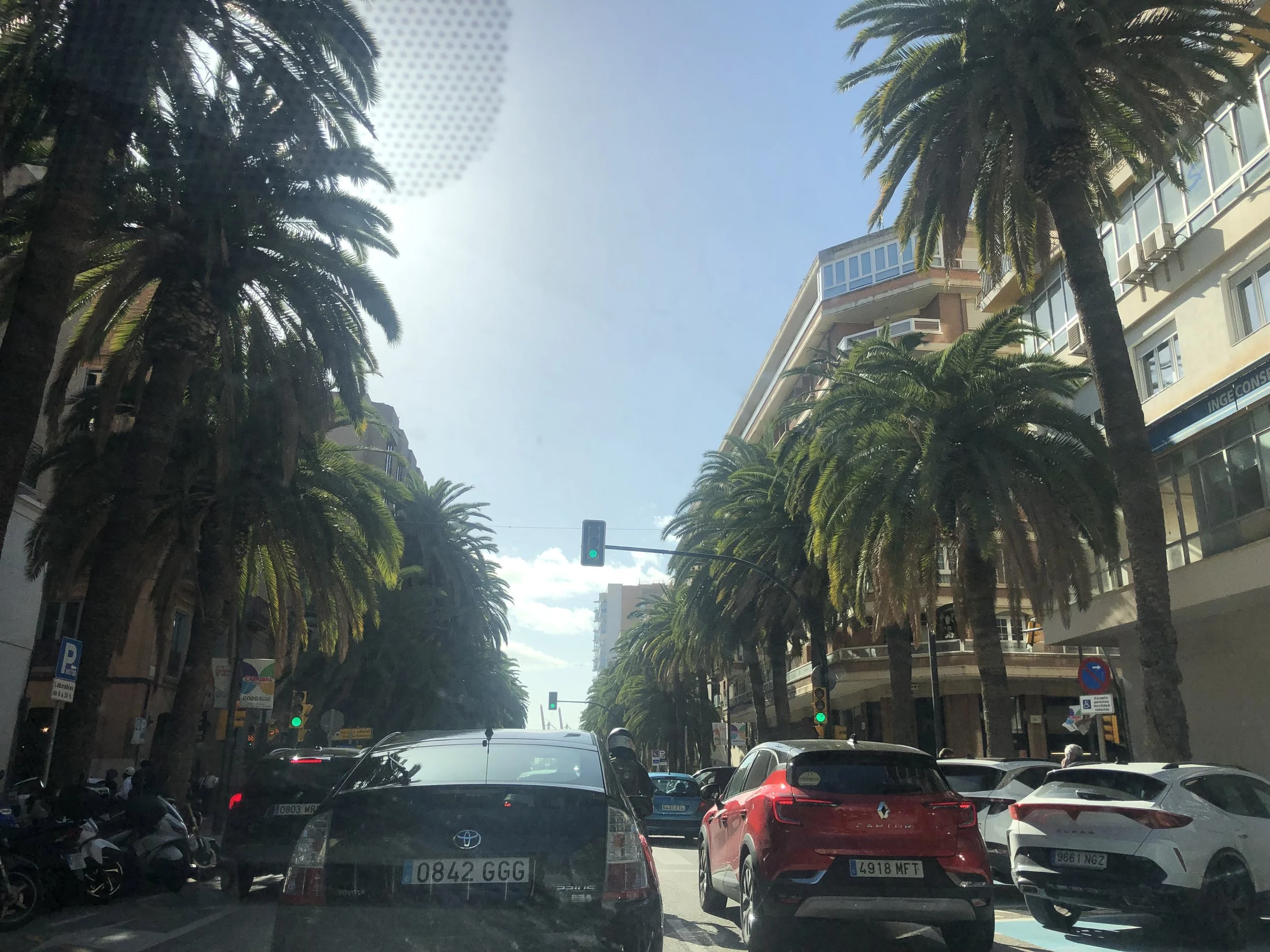 A city street scene with tall palm trees lining the sidewalk, with several cars waiting at a green traffic light, and buildings with glass windows in the background. The sky is clear and blue.