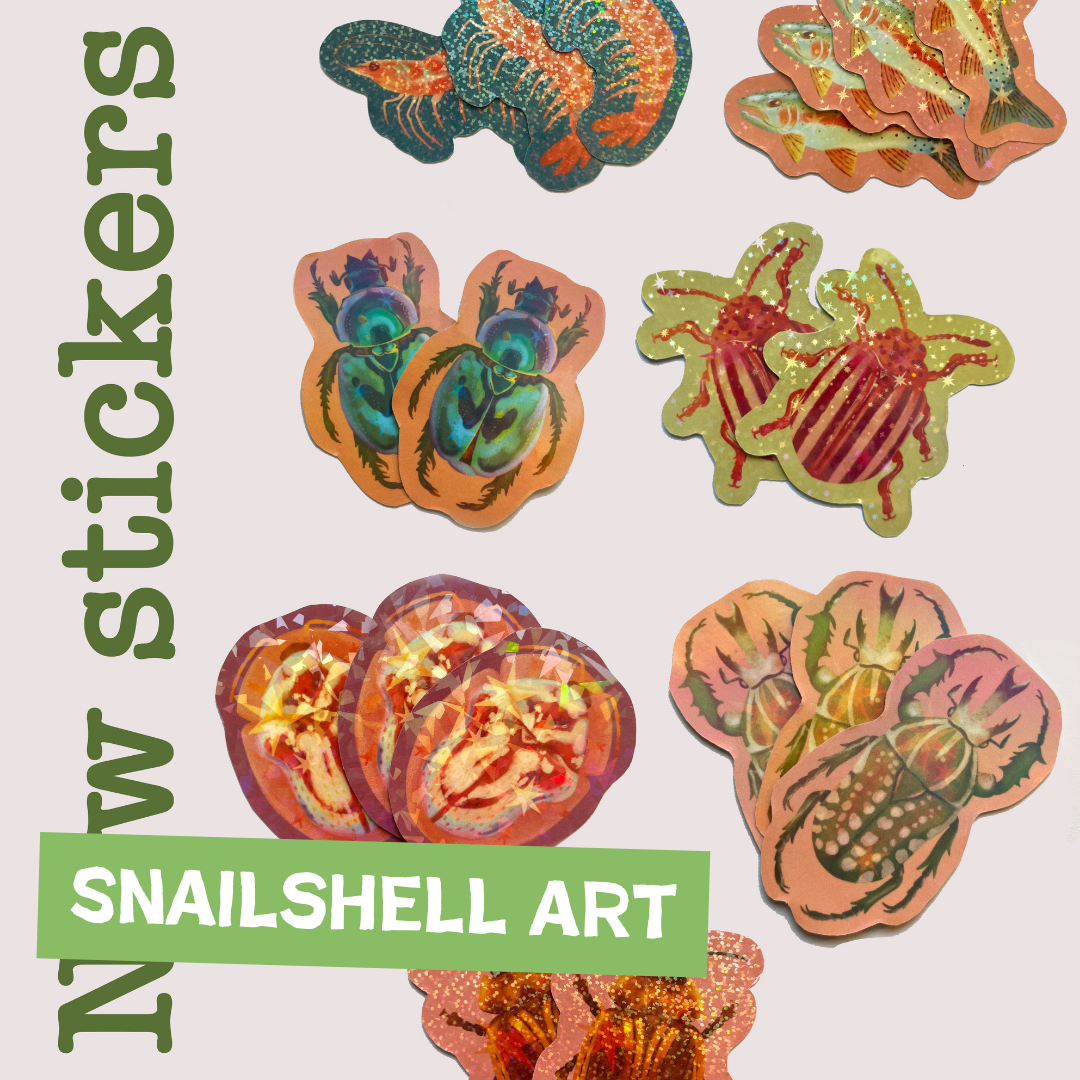 Snailshell Art.png