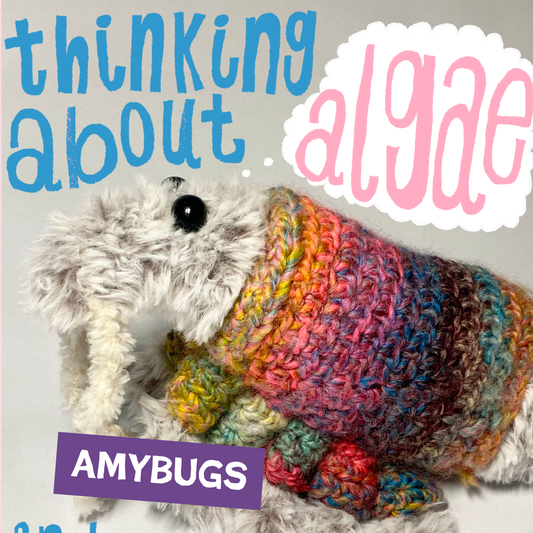 AmyBugs.png