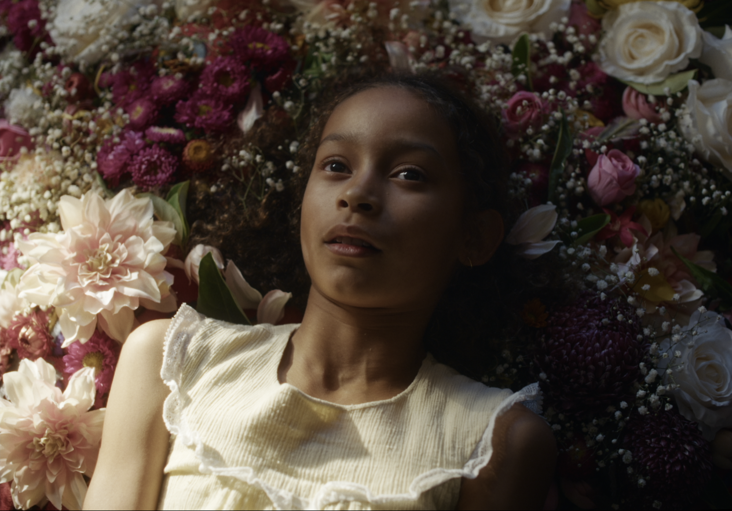 Screenshot 2025-06-11 at 4.53.22 pm.png