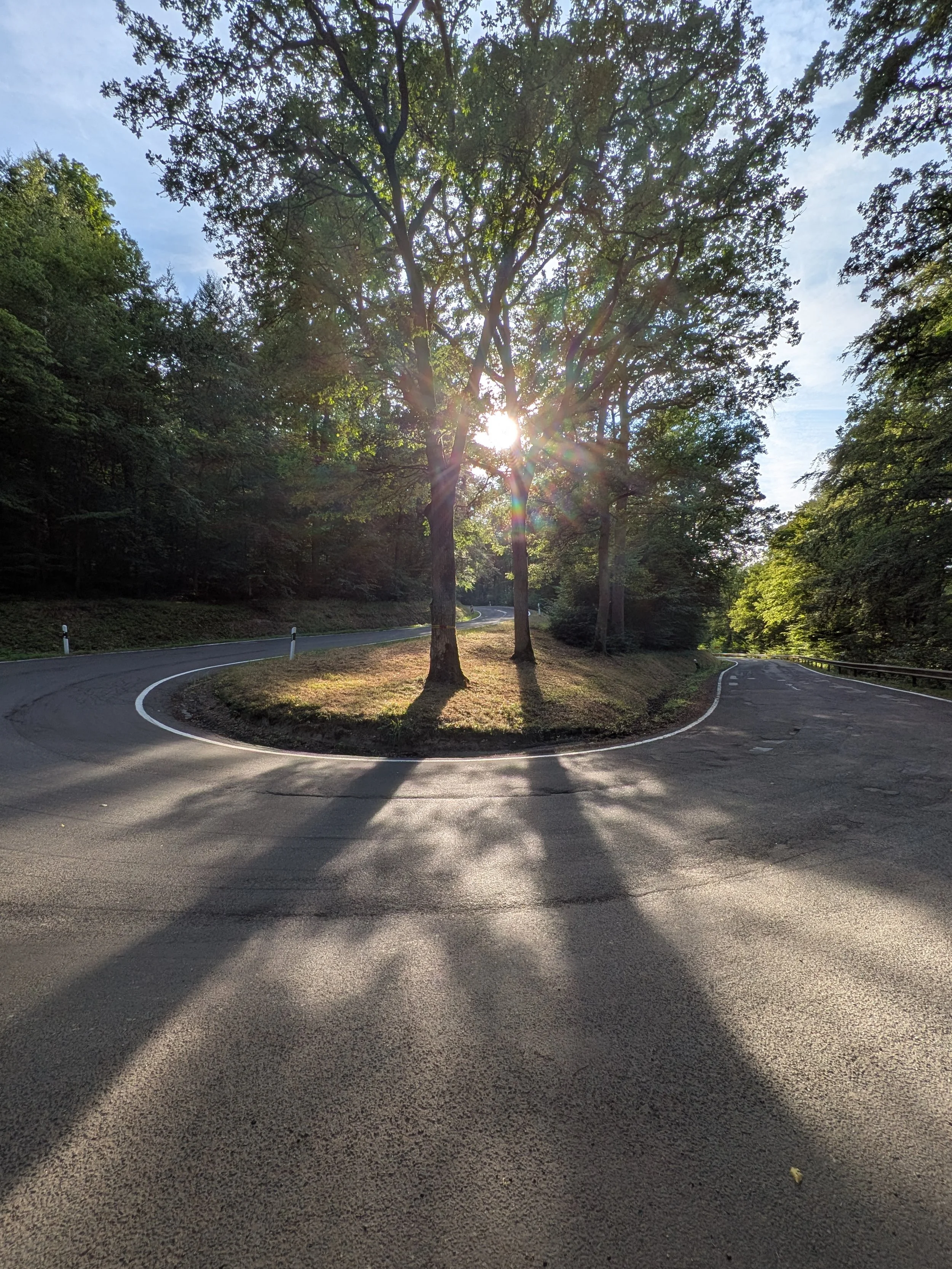 Sonnenuntergang an einer 180 Grad Kehre. Blick durch die Bäume mit der Straße im Vordergrund