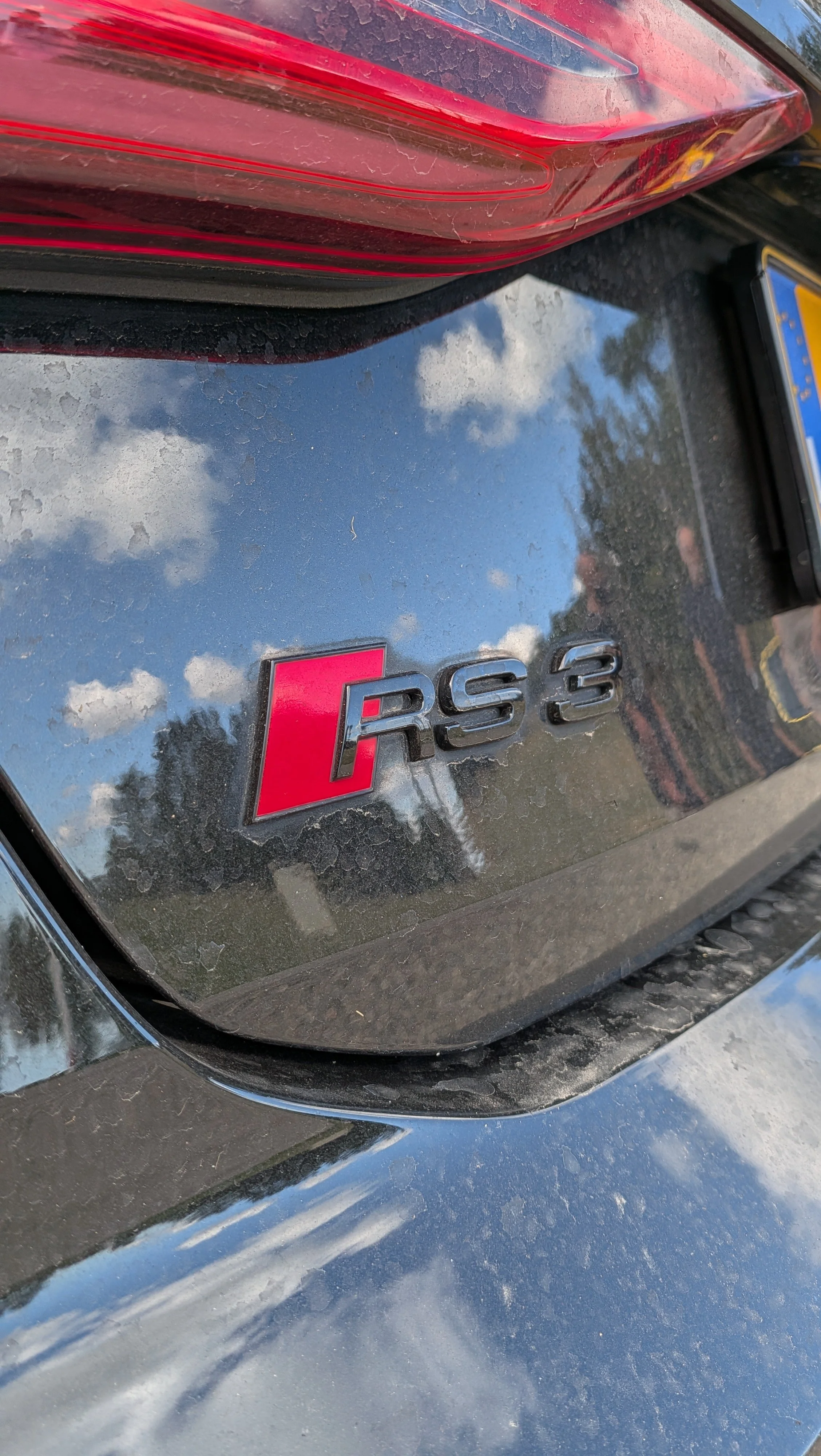 Ein Closeup von Ralphs wirklich schönem RS3