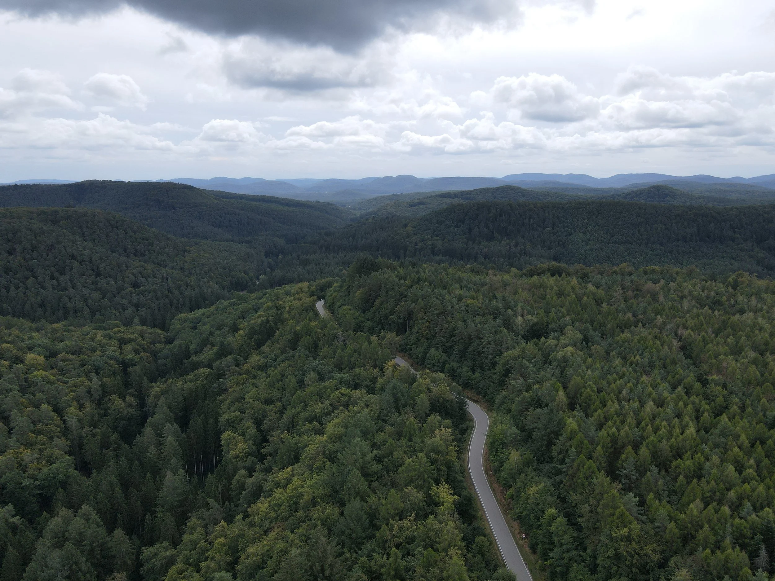 Kurvige Landstraße keine Autos Vogesen Wald