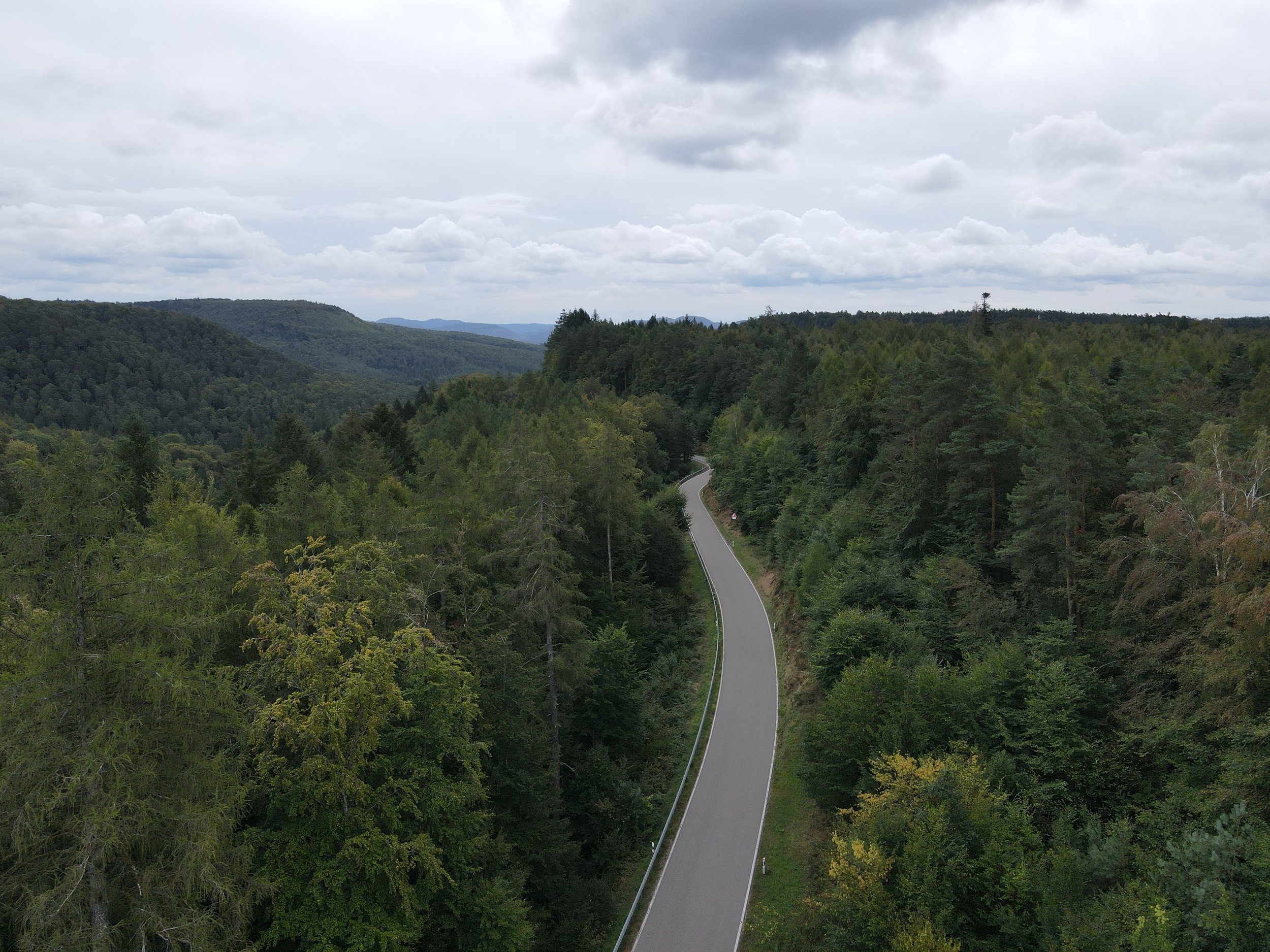 Die Pfalz